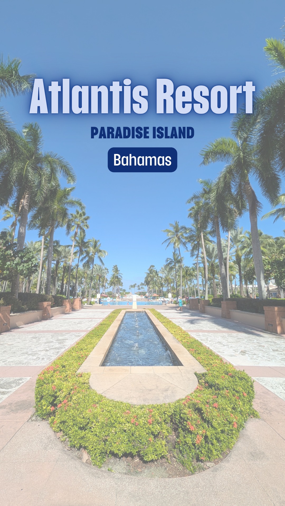 Ocean views for days 🌊☀️
From sunrise to sunset, Atlantis Paradise Island is pure beach perfection.
🏖️ Rolling waves
🌅 Breathtaking sunsets
🌴 Balcony views that never get old
Sometimes the best part of vacation is just slowing down and soaking it all in.
📍 Atlantis Paradise Island, Bahamas
Link in bio for more travel inspo ✈️
#AtlantisBahamas #ParadiseIsland #BahamasTravel #BeachVibes #TravelCouple #LuxuryTravel #TravelTok #SuiteLife