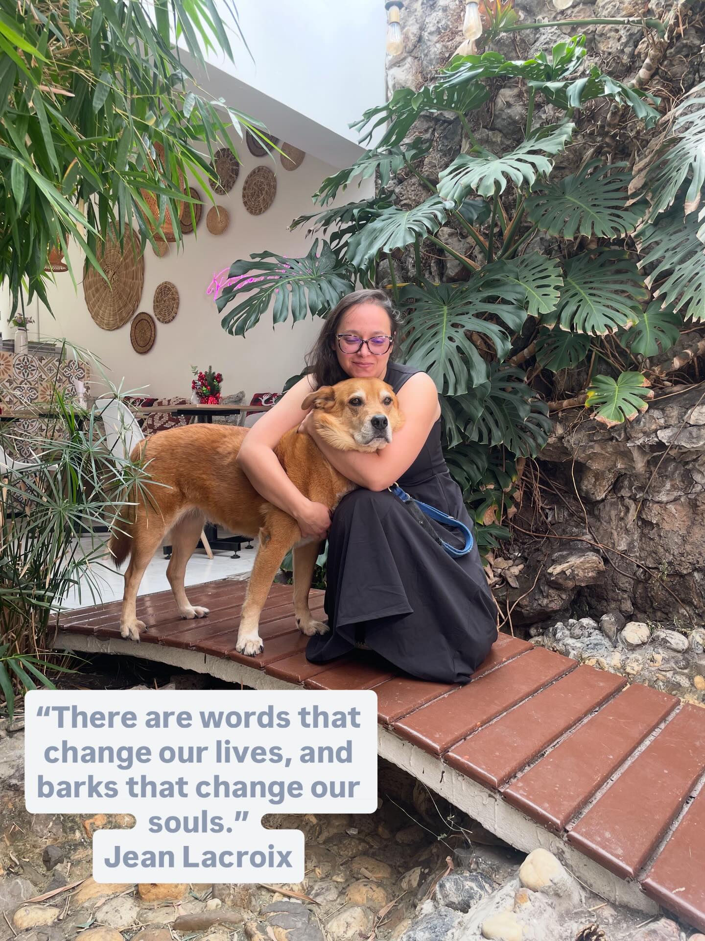 Barks…
that change your sleep, your routine,
and your heart too 🐶
This is a little piece of my everyday life with my doggies, messy, loud, loving, and real.
Life looks a little different when paws become Family! 💜
If you’re a new puppy parent, you’re not alone here.
🐾 Tell me how old is your pup?
#puppyparent
#newpuppy
#puppylife
#dogmomlife
#dogparenthood
#puppylove
#lifewithdogs
#dogsofinstagram
#puppyjourney