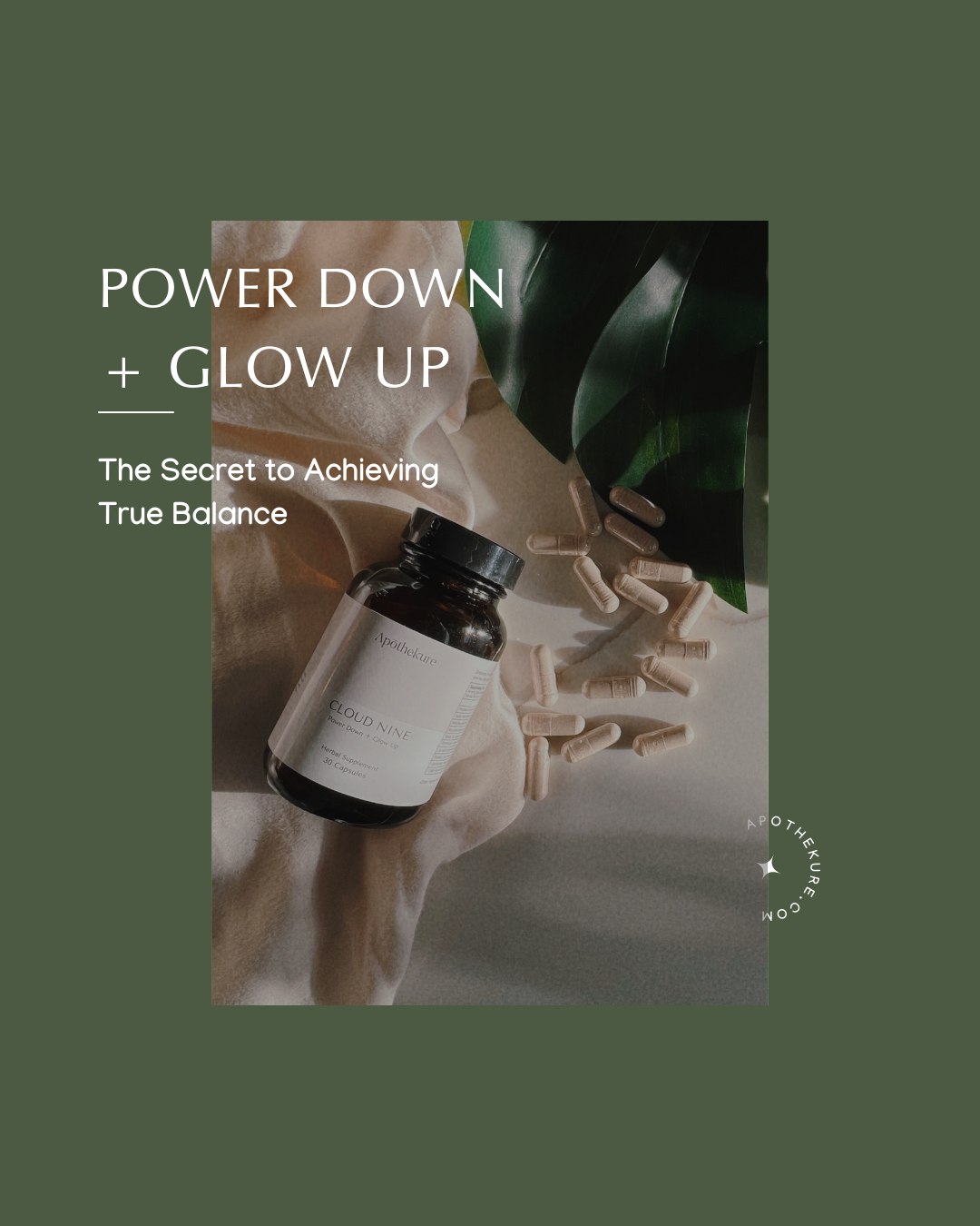 Welcome to Cloud Nine! Our one-of-a-kind capsules are rooted in traditional Chinese medicine, but backed by science. Studies of Root Poria have shown promising results: improved sleep, decreased stress, and more.
Step into the clouds and restore your balance with our all natural blend!
.
.
.
.
.
#CloudNine #RootPoria #ChineseMedicine #NaturalRemedies #StressRelief #ImprovedSleep #TraditionalChineseMedicine #RestoreBalance #AllNatural