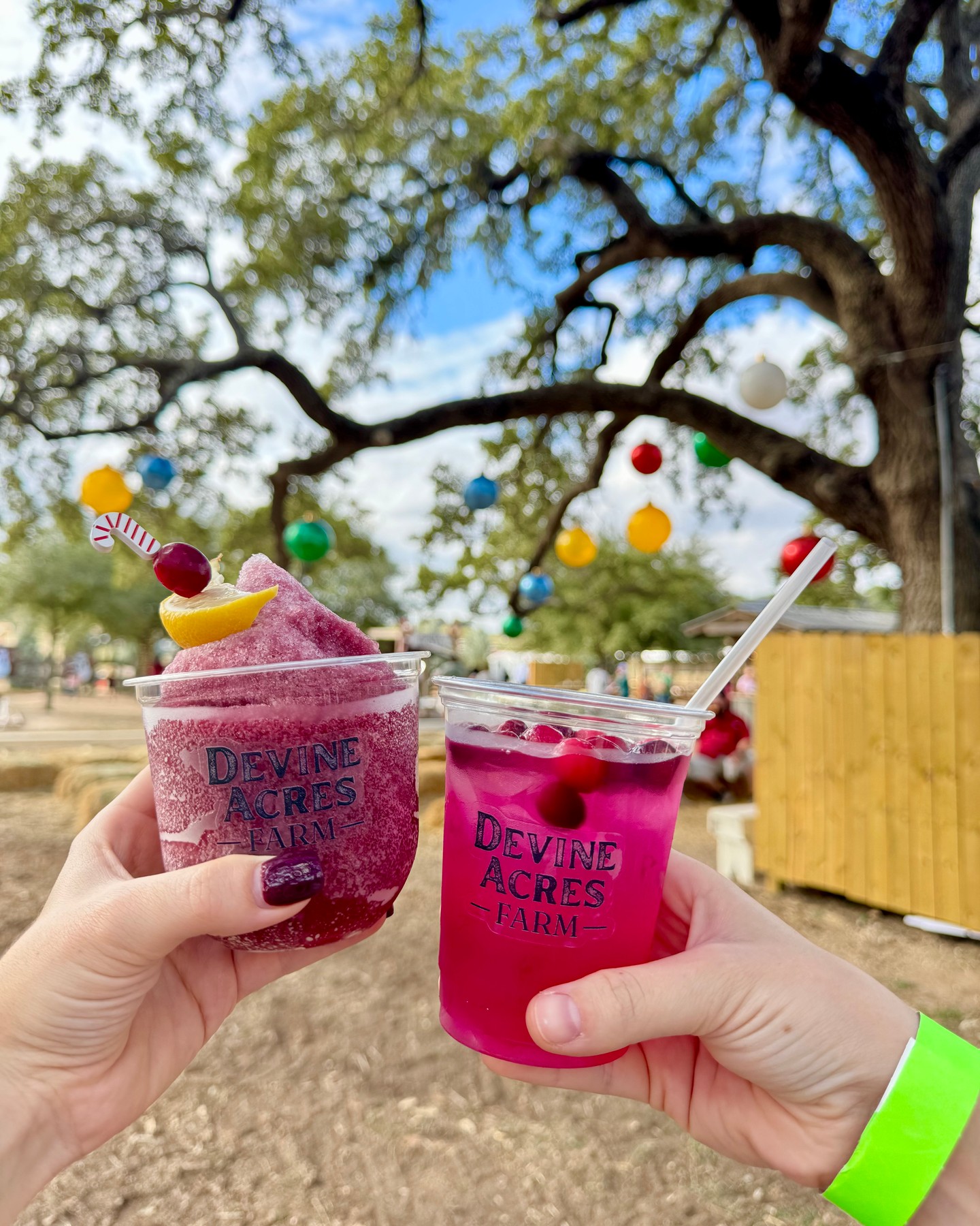 Come hungry, y’all! We’ve got alllll the goodies ready for ya! 🍦🍔🍿🍷🍩
Saturday 10-8 | Sunday 10-6
devineacresfarm.com