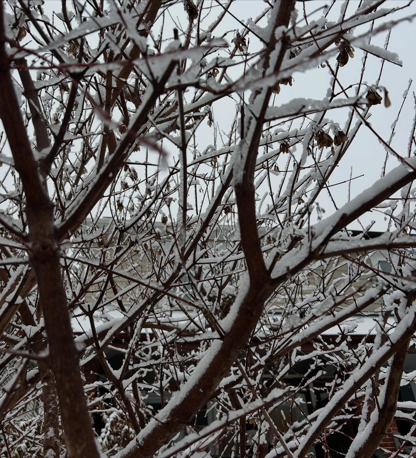 A little inspiration as we weather the darkest days of the year.
As we settle into these deeper nights, remember: the Winter Solstice is only days away—and it marks the shift. From the longest night, the light begins its slow return. 🌙✨
so take this time to rest, to be reflective at the end of the year, to slow down, to embrace winter hibernation.
And keep your eyes peeled for all the inspiration that is surrounding you.
.
.
.
.
.
.
#WinterSolstice #TorontoWellness #YogaInToronto #MindfulMovement #WinterReflection #SeasonalRituals #LightWithin #SolsticeMagic #WinterWellnessCanada