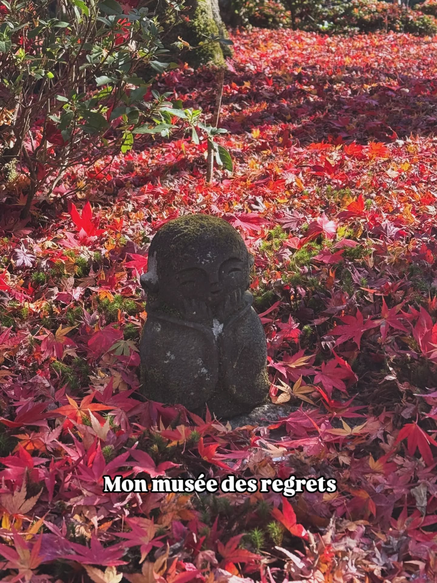 Mon musée des regrets 🍁
Quels sont les vôtres ?
Mots-clés : regret - vie d'autrice - vivre à l'étranger - vivre au Japon
Hashtags : #regrets #trending #viedauteur #vivreatokyo #autricefrancaise #bookstagramfr #japon