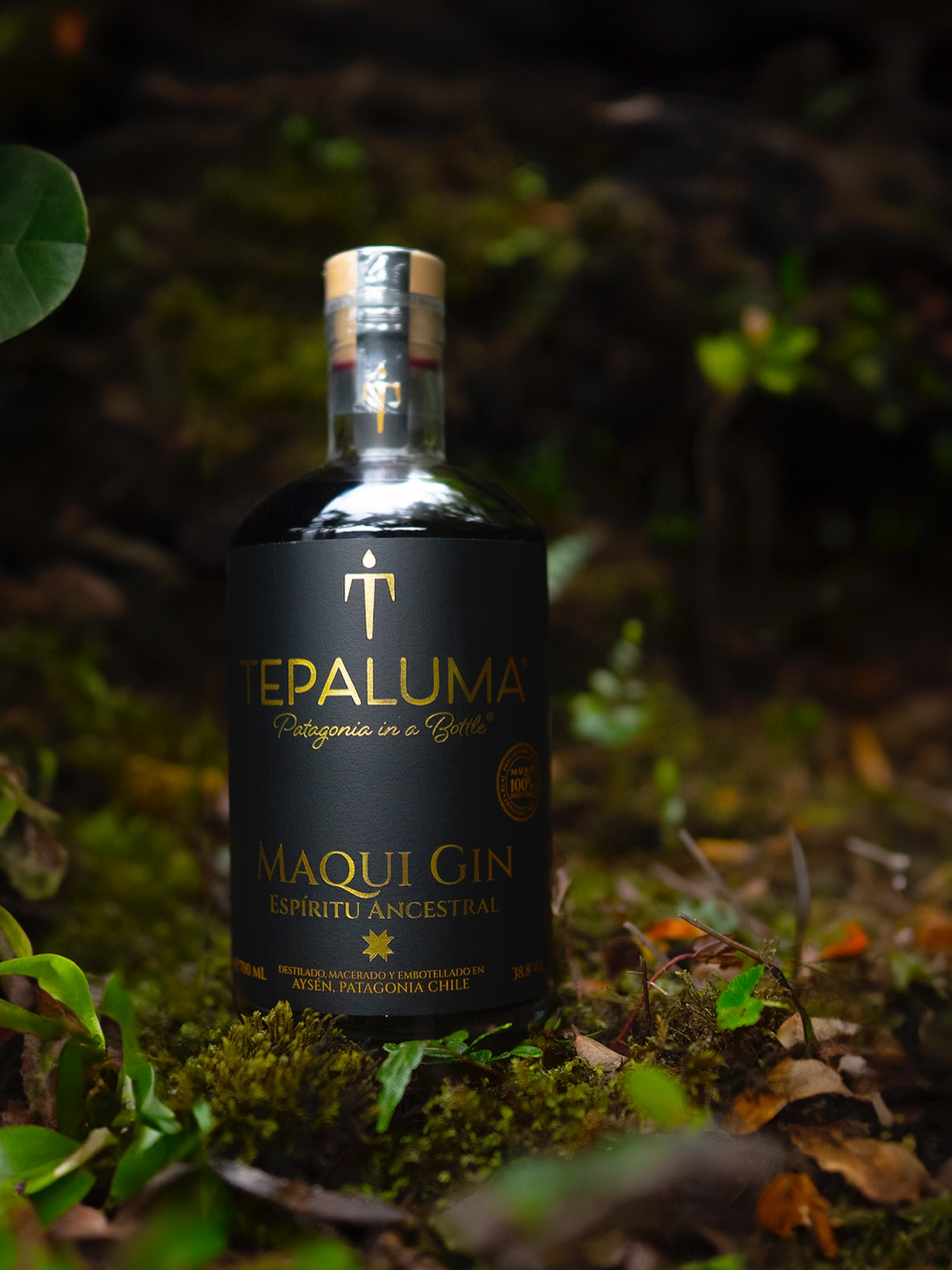 🫐 Esta Navidad regala alegría con un gin lleno de vida
Sorprende con Tepaluma Maqui Gin, un espíritu vibrante que ilumina cualquier celebración.
Un gin frutal de aroma intenso y color profundo, cuidadosamente destilado, macerado y embotellado en la mágica Carretera Austral, en plena Patagonia chilena.
Una verdadera oda al maqui, fruto legendario y ancestral de Chile, tan real que tiñe con fuerza.
Un regalo difícil de olvidar.
🎁 Promo Navidad 2x ✨
15% de descuento en la compra de 2 botellas
📅 Válido hasta el 17 de diciembre
🚚 Despachos hasta el 18 de diciembre
Disponible en tepaluma.com
📍 En la Región de Aysén distribuye Gran Calafate (+56 9 3233 0996) y nos encuentras en un sinnúmero de botillerías, supermercados y tiendas especializadas.
.
.
.
.
.
Real. Salvaje. Icónico. Tepaluma®
….
⚠️ ᴀᴅᴠᴇʀᴛᴇɴᴄɪᴀ: ᴇʟ ᴄᴏɴsᴜᴍᴏ ɴᴏᴄɪᴠᴏ ᴅᴇ ᴀʟᴄᴏʜᴏʟ ᴅᴀñᴀ ᴛᴜ sᴀʟᴜᴅ I ɴᴏ ʙᴇʙᴇʀ ᴀʟ ᴄᴏɴᴅᴜᴄɪʀ I ʀɪᴇsɢᴏ ᴘᴀʀᴀ ᴛᴜ ʙᴇʙé I ɴᴏ ʙᴇʙᴇʀ ᴍᴇɴᴏʀᴇs ᴅᴇ 𝟷𝟾 ᴀñᴏs I ᴍɪɴɪsᴛᴇʀɪᴏ ᴅᴇ sᴀʟᴜᴅ
ℹ️ᴠᴀʟᴏʀ ᴇɴᴇʀɢéᴛɪᴄᴏ ᴅᴇ ᴛᴇᴘᴀʟᴜᴍᴀ ɢɪɴ: 𝟸𝟺𝟶 ᴋᴄᴀʟ ᴘᴏʀ ᴄᴀᴅᴀ 𝟷𝟶𝟶 ᴍʟ I ᴛᴇᴘᴀʟᴜᴍᴀ ᴍᴀǫᴜɪ ɢɪɴ: 𝟸𝟷𝟽 ᴋᴄᴀʟ ᴘᴏʀ ᴄᴀᴅᴀ 𝟷𝟶𝟶 ᴍʟ
#TepalumaGin #Patagonia #PatagoniaChilena #DestileríaTepaluma #CarreteraAustral #Chile #navidad #maquigin