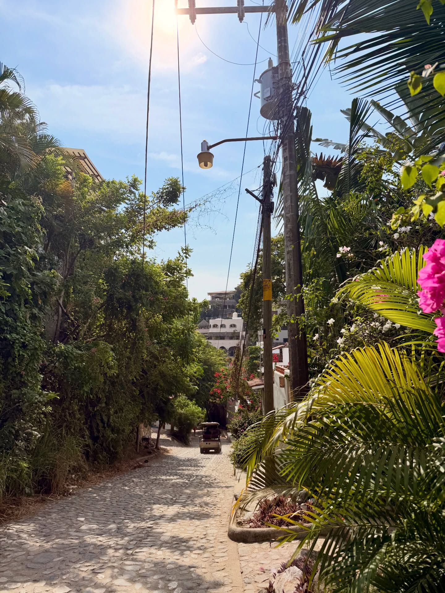 Mexico with my mom (Nov 25), because she wanted to see me surf IRL and carry my board, seriously…🙈
Not impressed by tiny crowded waves but we had fun and ate a lot 🌮🌯🇲🇽