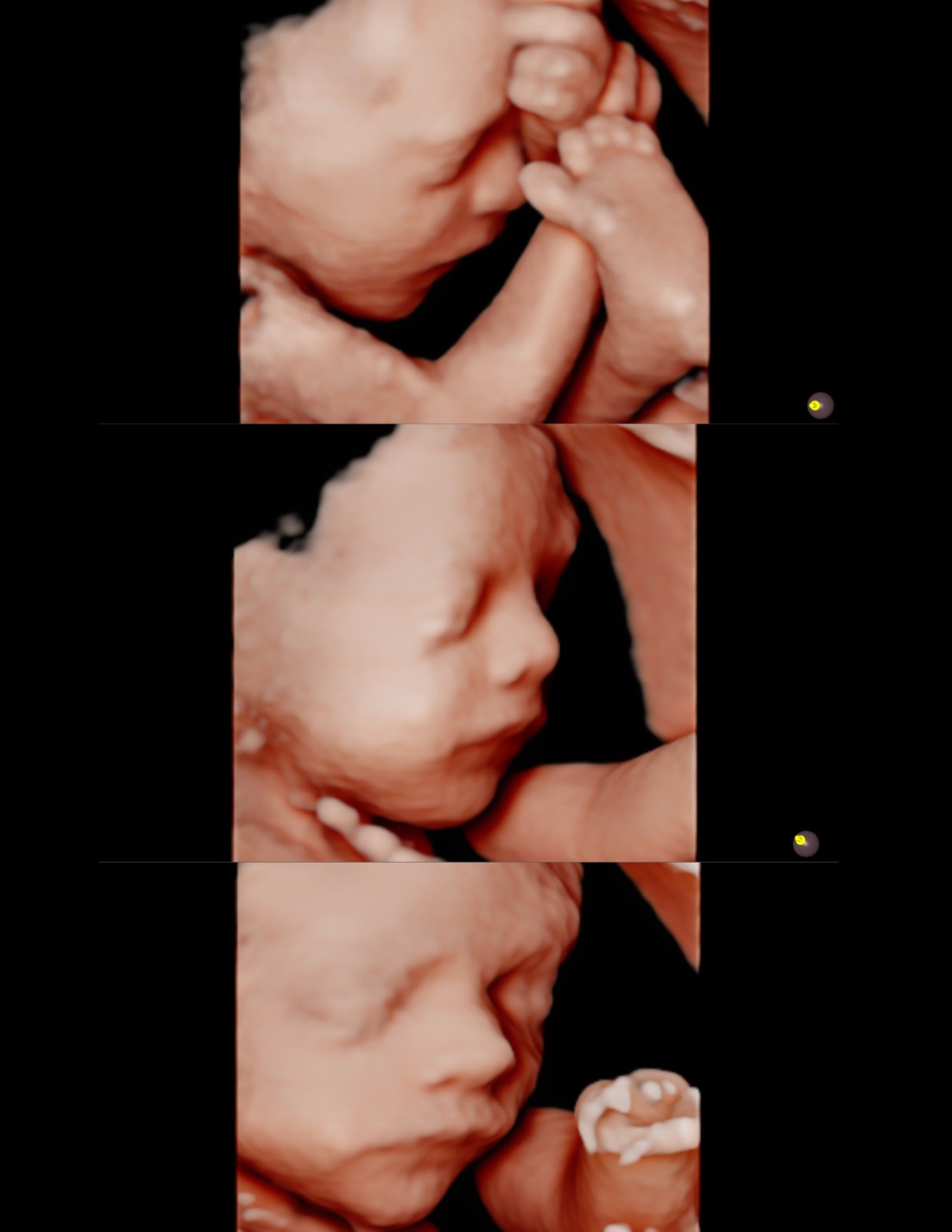 The sweetest secret to hold; being the only one who knows this baby’s gender 🥹❤️ I can’t wait for this family’s big day #27weeks