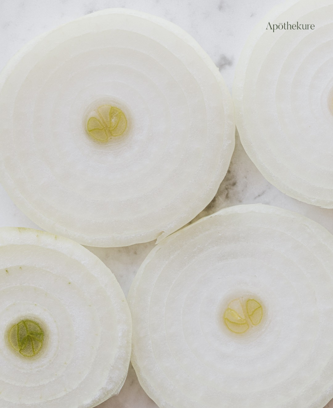 If you're looking for a natural way to help regulate your qi and blood circulation, add onions for extra zest in your meals.
This versatile vegetable is known in Traditional Chinese Medicine (TCM) for its ability to resolve phlegm, disperse cold, clear dampness, and more. 🌿 It enters the lung, stomach, large intestine, and liver. Plus it's warm in temperature and a great addition to lots of savory dishes. 🤤
Our newsletter is a great way to stay informed on the latest in health and wellness. 🔥 We’ll send you the best content related to Chinese medicine and wellness every week. Get more information on how to live your best life. ✨ Sign up now in the bio link. 💜
.
.
.
.
.
#TCM #naturalhealth #onion #traditionalchinesemedicine #onions #qi #bloodcirculation #phlegm #cold #damp #lung #stomach # largeintestine #liver #tcm #nutrition