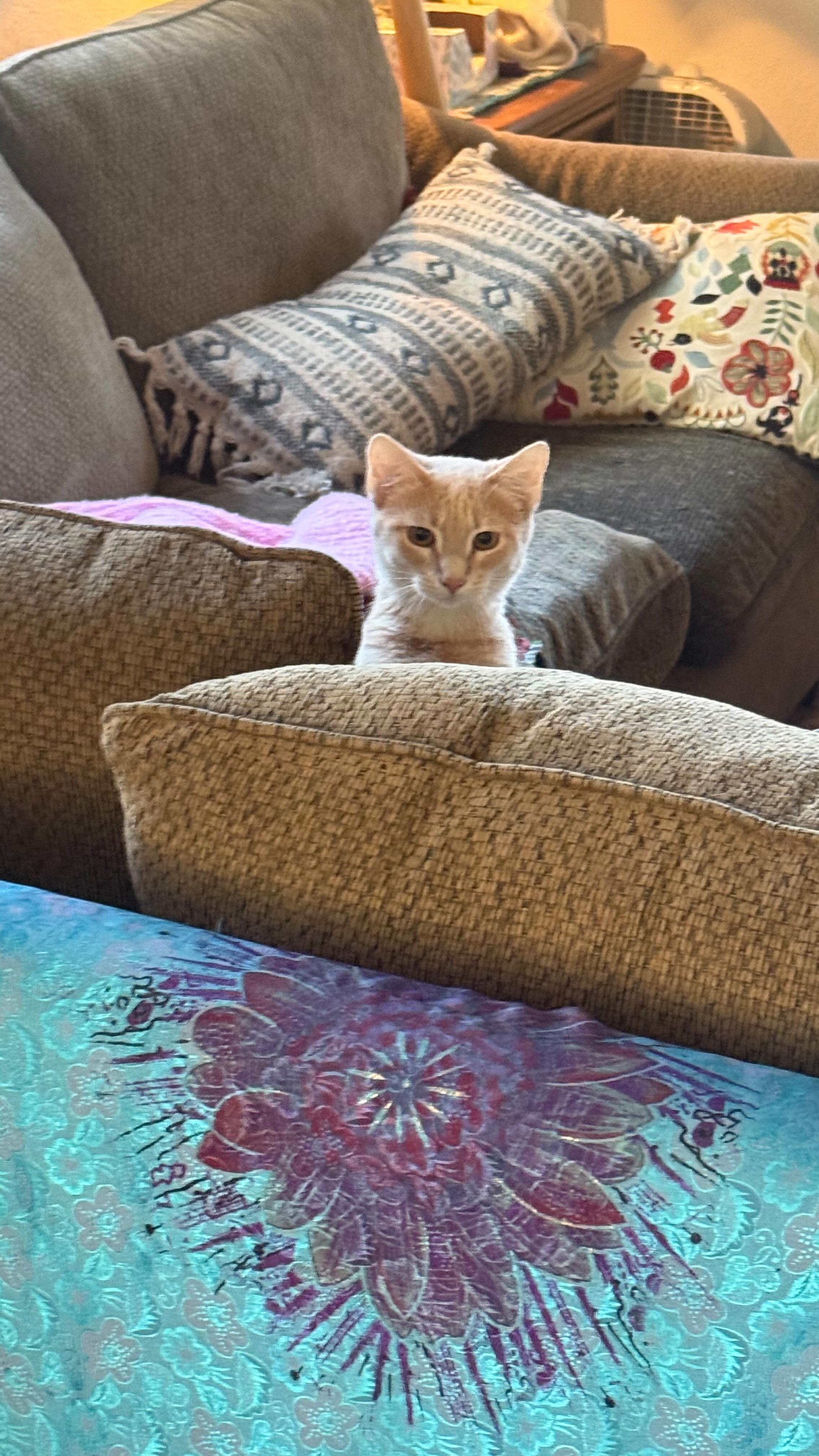 If you have any sticker ideas drop em’ in the comments!
*
Cover art by - @abbyburnns
@gaia.bachar
•
•
•
•
•
#foodservice #art #coffeeshop #smallartist #coffeeshoplife #colorado #food #localcoffeeshop #smallbusiness #merch #stickers