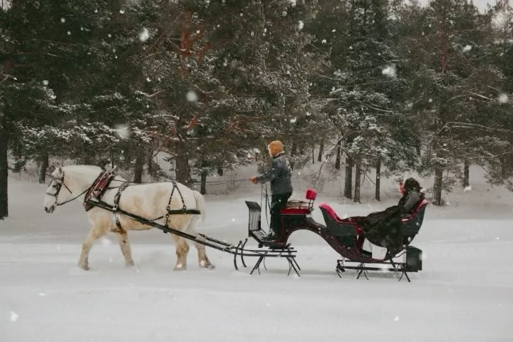 ❄️Snowflakes falling, bells ringing, and love leading the way…
🤍A winter wedding dream come true—there’s nothing quite like a sleigh ride for the newlyweds. Has anyone else experienced this magical moment?
#winter #winterwedding #snowisfalling #weddingplanner #ctwedding #nywedding #pawedding #2025winter #winterromance