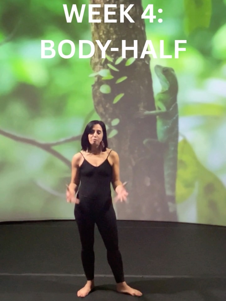 Week 4 of our 6-week Evolutionary Movement Series. This week we'll be looking at body-half movement! 🦎