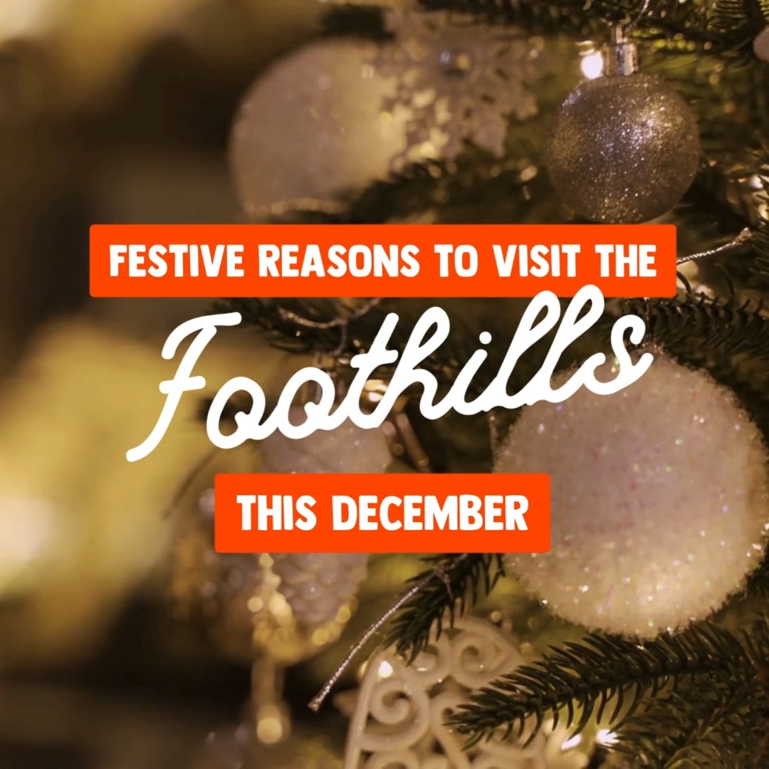 🎄✨ The Foothills are sparkling this December!
From twinkling trees 🌲 to magical train rides 🚂 and Santa-filled fun 🎅, there’s something festive for the whole family.
Plan your holiday adventure and make this season unforgettable! ❄️❤️
Check out our event calendar for the full list and to learn more details about each event: https://www.explorefoothills.com/event
@bestwesternokotoks @aspencrossing @townofhighriver | @regionalfieldhouse