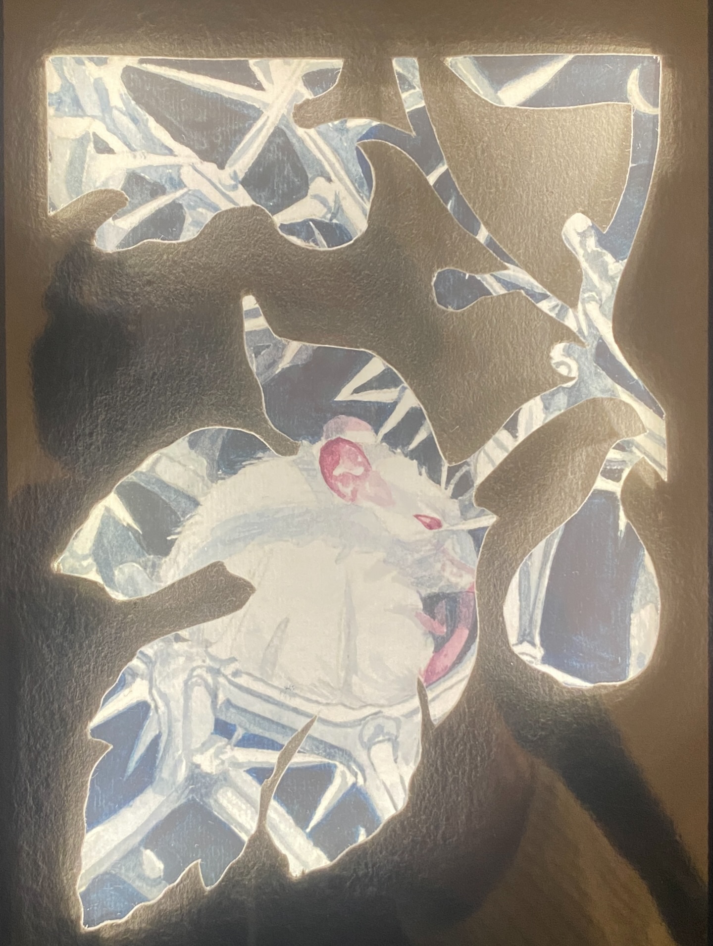 What appears when distance closes?
Lines sharpen.
Light shifts.
The body meets its own, surreal surface.
.
Ficus Occulta (The Hidden Fig) and Punica Arcana (Arcane Pomegranate) are 5 × 7” interactive, motion-sensing mirror boxes.
Each contains hidden work—beautiful, painful, and revealed only when the viewer steps close enough to see themselves. Available for purchase.