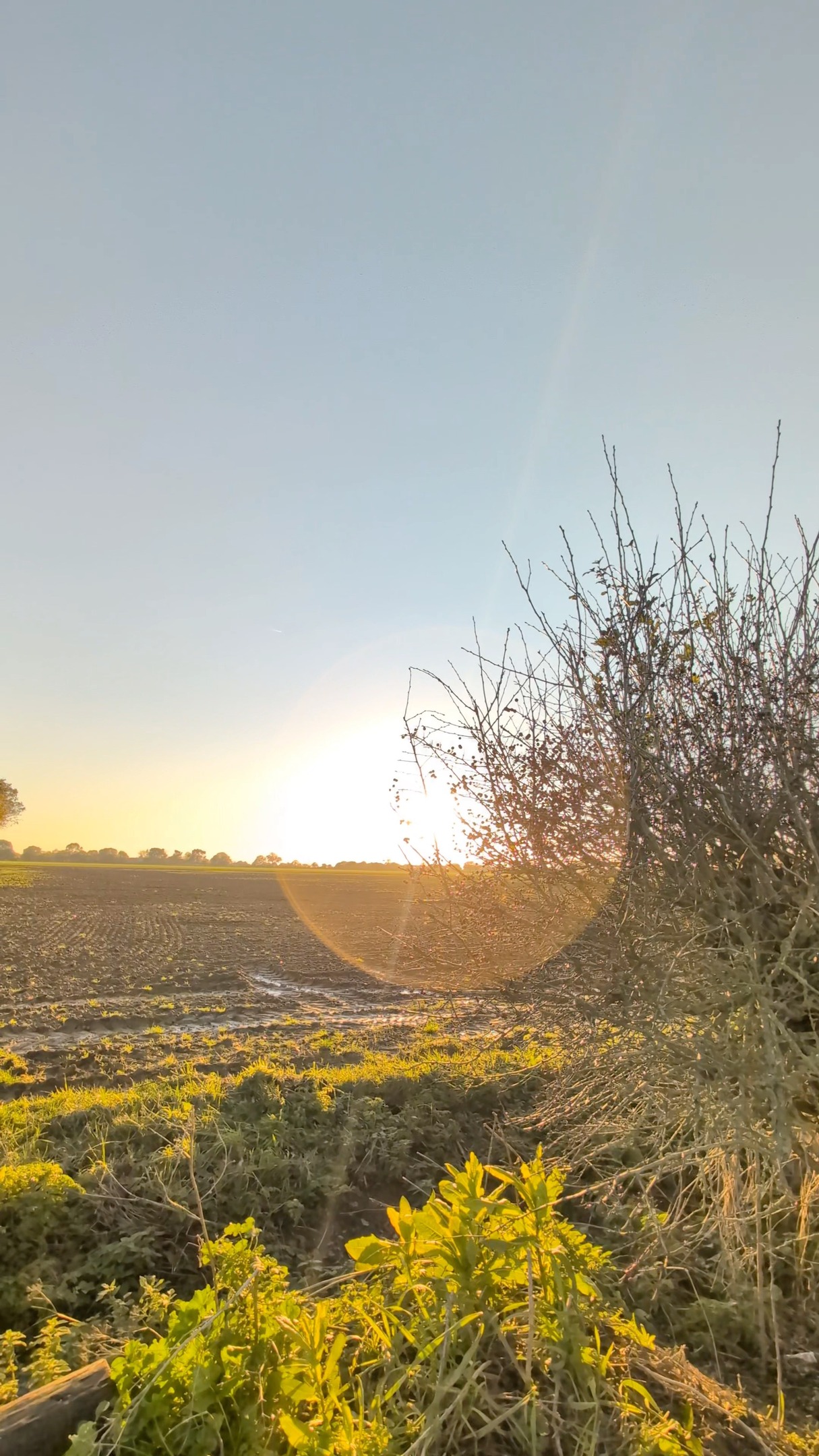 This Christmas, gift something that can’t be wrapped.
A quiet space.
Warm steam.
Time to slow down.
Renew gift vouchers offer more than a treatment…they offer stillness, restoration, and a moment of calm when its needed most.
Physical vouchers are available to collect until Sunday 21st December, with digital vouchers available anytime for last-minute gifting.
A thoughtful gift for anyone who deserves to pause.