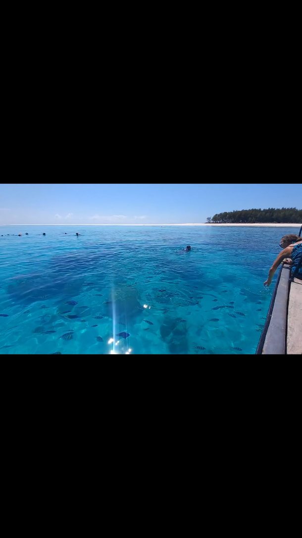 Discover the vibrant marine life of Mnemba.
Crystal waters, coral gardens, unforgettable moments.
🏝️🌊🐠🐬
Book your adventure today
WhatsApp
+255 777 814472
info@cheicheizanzibartour.com
Please find more at
www.cheicheizanzibartour.com
🏝️
🐬
🐠
#zanzibar🇹🇿 #tanzania #traveldestination #snorkel #SnorkelingZanzibar #fish #cheicheizanzibartour #travelgo #zanzibar2025 #tanzaniasafari #matemwebeach #nungwi #kendwabeach #paje #uroa
