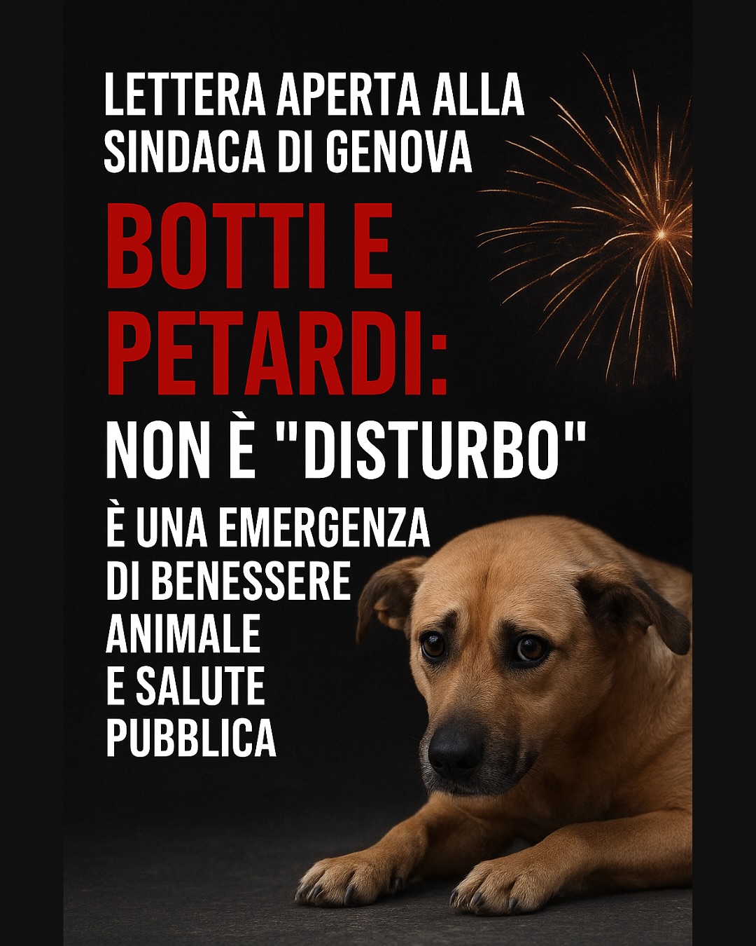 Dopo gli ennesimi e ripetuti episodi che hanno visto Runa e altri molti cani del quartiere e della mia città: terrorizzati, traumatizzati, paralizzati, impauriti e destabilizzati, già da ben due mesi prima del temuto capodanno, ho voluto scrivere personalmente alla sindaca @silviasalis per sottolinearle con forza, fermezza e molta preoccupazione un’ormai evidente piaga culturale e sociale, un problema che affonda le proprie radici nell’ignoranza, nella stupidità e nella assenza di rispetto e reciprocità. Un problema che attanaglia le nostre città da troppo tempo. Noi cittadini e i nostri cani da novembre a dicembre da ormai molti anni viviamo una vera e propria emergenza. Sto parlando ovviamente dei petardi e delle “bombe di guerra” figlie di una superficialità dilagante ma soprattutto per colpa di un’assenza genitoriale senza precedenti nel nostro paese. Perché a sparare sono bambini e ragazzini sotto gli occhi di adulti irresponsabili, maleducati e inabili nel loro ruolo di genitori. Sono nato e cresciuto in periferia nelle strade del mio quartiere, ma ad oggi mi sento sempre più distante da ciò che esse rappresentano.
E ora di dire basta e promuovere, non a parole ma con i fatti e con l’impegno di tutti, nelle scuole dell’infanzia e primarie progetti volti a creare consapevolezza aiutando a coltivare nei più piccoli responsabilità, consapevolezza, rispetto verso tutti gli esseri viventi, senso civico, sensibilità, amore e empatia. Per gli adulti è evidente che ormai è troppo tardi ravvedersi, visto l’andazzo che siamo costretti a vivere e subire per colpa loro in questo paese. Visto che le famiglie non sono in grado di adempiere correttamente al loro ruolo genitoriale lo Stato, le istituzioni, le amministrazioni locali e tutti noi professionisti abbiamo il dovere di prenderci la responsabilità nel creare una società migliore fatta di persone consapevoli e rispettosi degli animali.
@dogcoachitalia @primocanale.it @ilsecoloxix @genovatoday.it @comunedigenova @ilmugugnogenovese @genova24it @ilportaledigenova @angelovaira @associazione_buoncanile_odv @scuolathinkdog
@canilemontecontessa
Sul mio profilo Facebook (link in bio) potete trovare la stessa versione.
