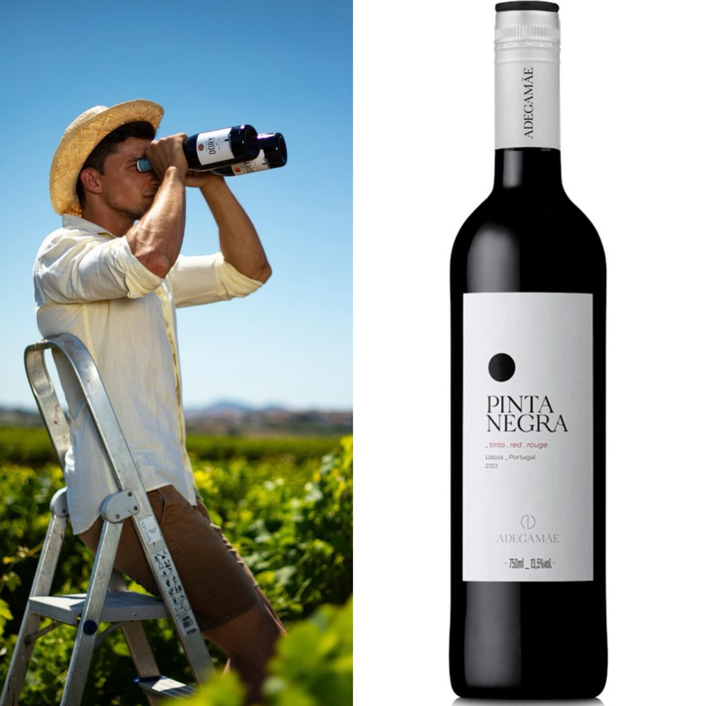 It’s that time of the year again. AdegaMae Pinta Negra Tinto new vintage 2024 has just arrived into Auckland Port.🙏
Back by very popular demand, region Lisbon - grapes Castelao & Aragonez. Sheer drinkability, the fruit does all the talking here.🇵🇹🍷