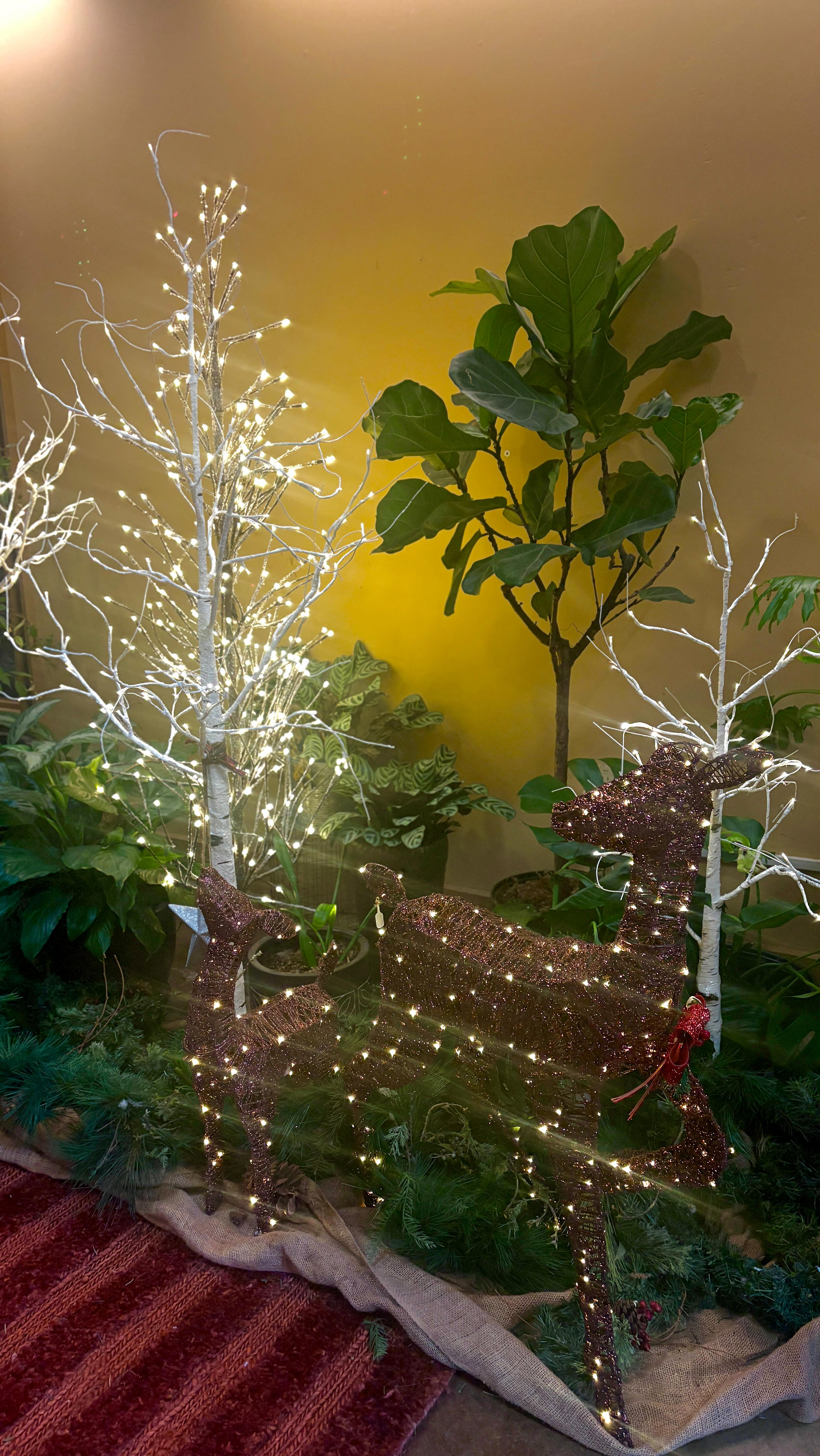 Sneak peek of the Holiday Star Lighting decor! 👀🌟🦌
Don’t forget to mark your calendars for Thursday, December 4, from 6–7 PM! You won’t want to miss all the festive décor, drinks, live music, and food this holiday season. Tickets are free—link in our bio!🎄
- @visitmorganhillca @mhcoc @destination_downtown_mh @momsofsouthcounty