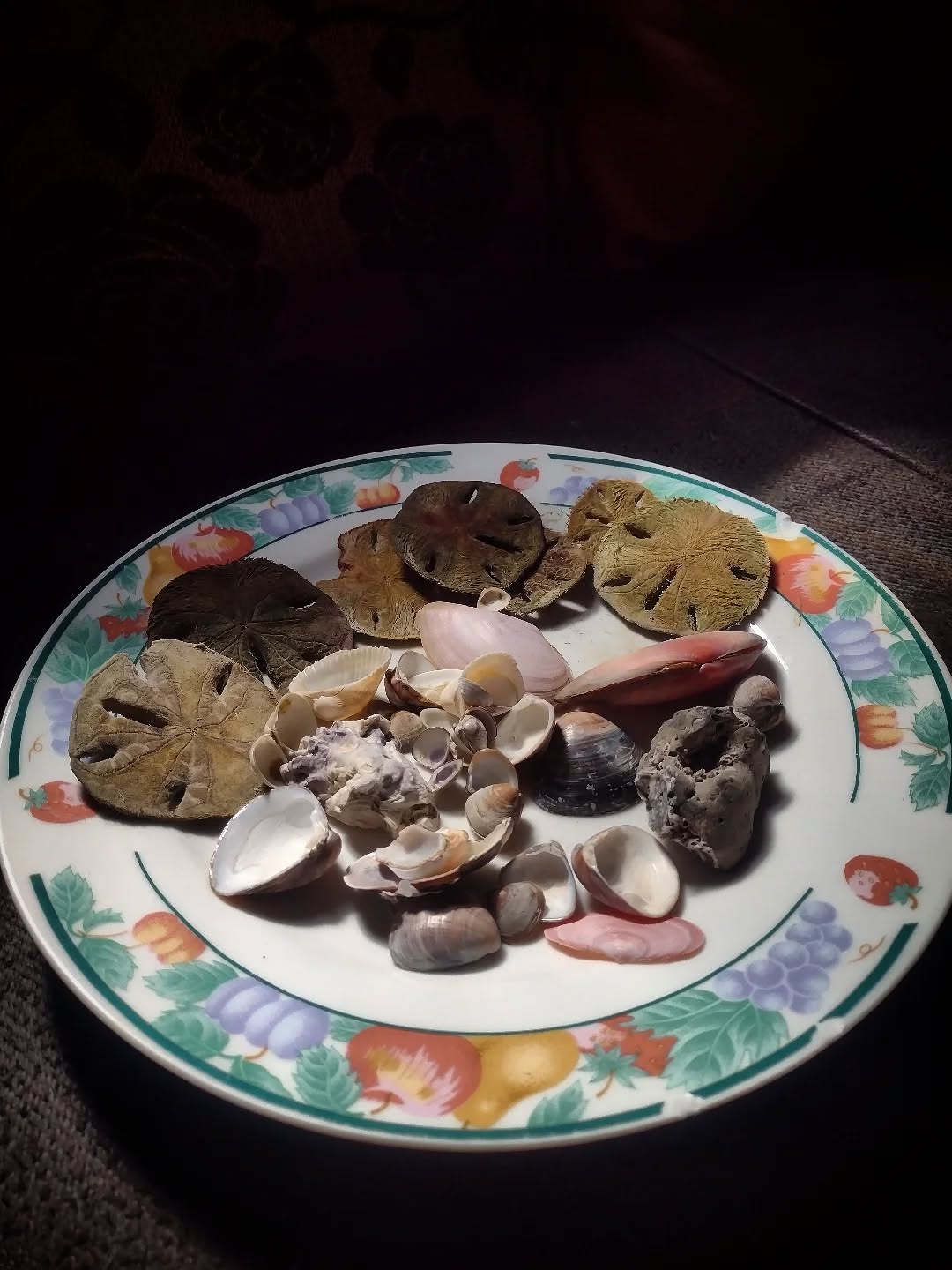 Presentes que o Mar deu a min em minha última visita ao Corpo da Deusas. Encantos embutidos nesses tesouros encontrados na praia recebendo as dádivas e bençãos da água e terra, onde se forma a encruzilhada.
#seamagic #folklore #mar #witchsea