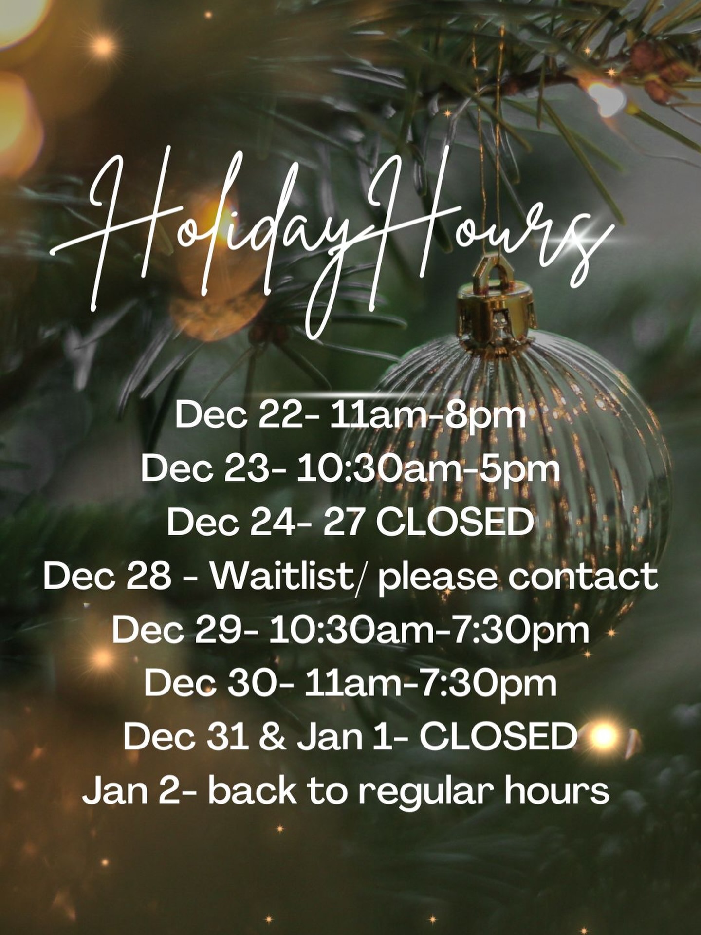 ✨H O L I D A Y H O U R S ✨
