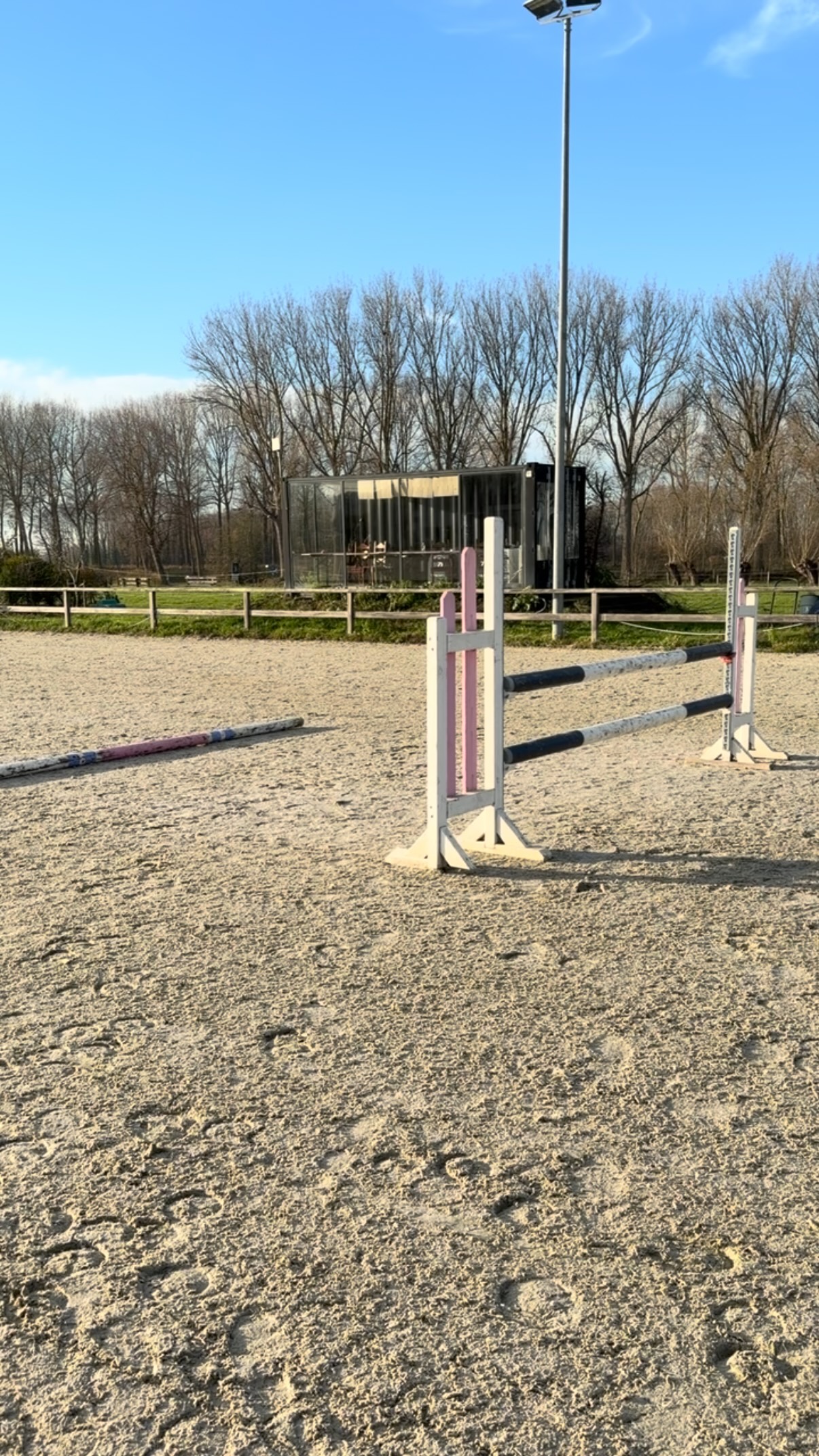 Jumping into the weekend like… ✨🐎
#horses #paardrijlessen #jumping #horsebackridinglessons #mbequitalents