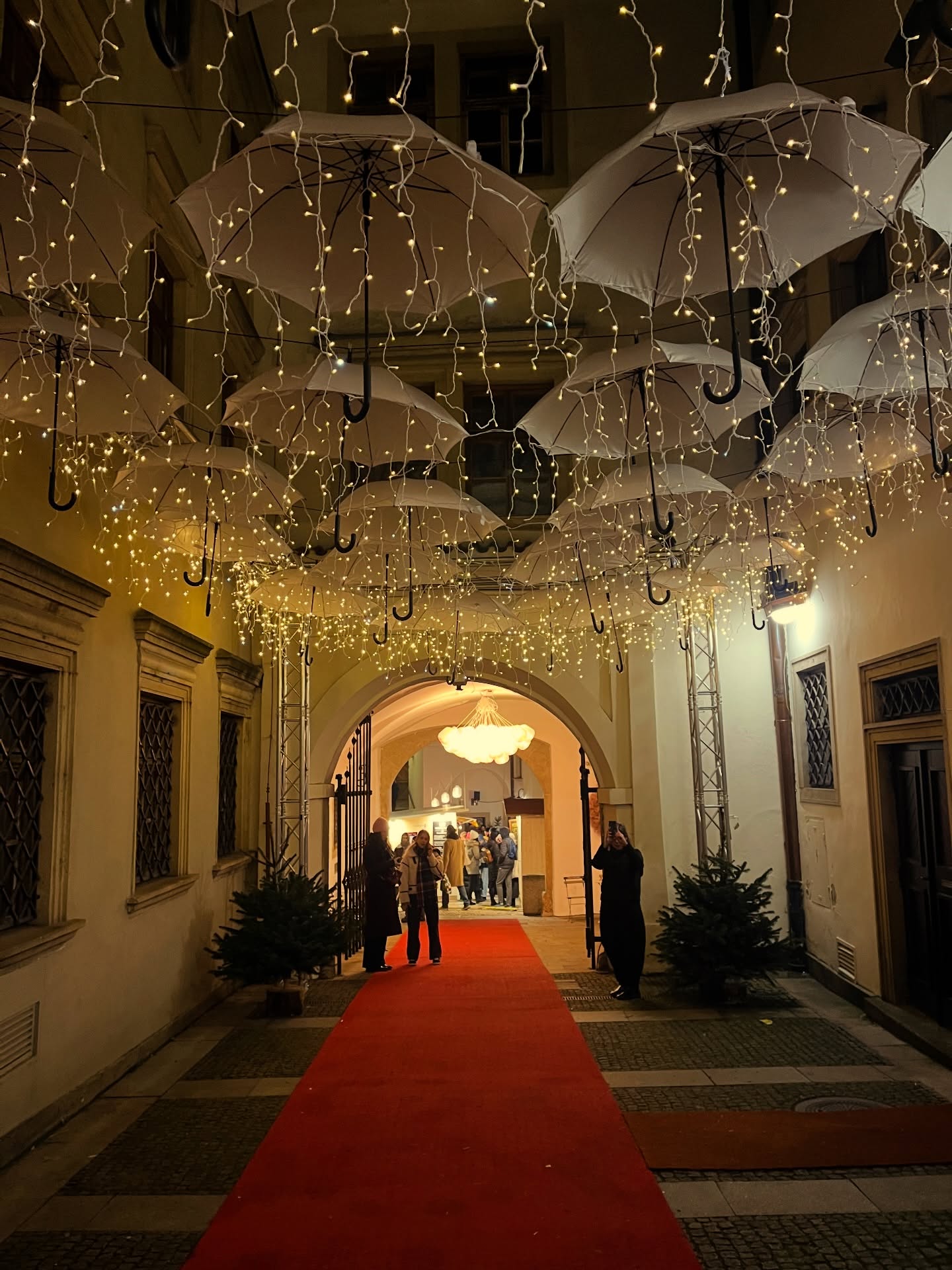 Weihnachten in Brno 🎄
#weihnachten #weihnachtsmarkt #brno #freewalkingtour #redcarpet