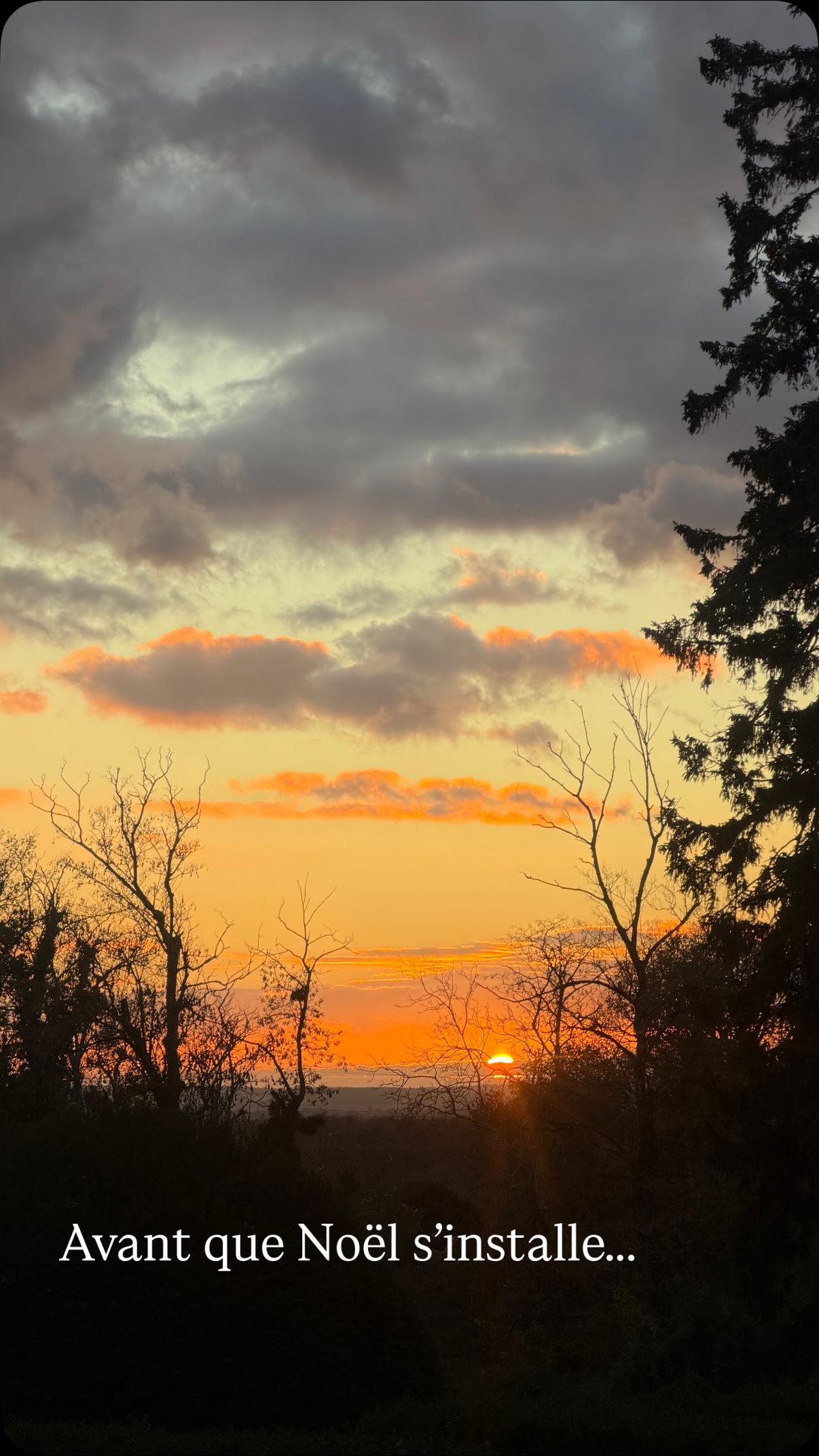 Derniers jours avant que Noël s’installe enfin au château…
Demain, la magie commence. ✨🎄🔥
#NoëlAuChâteau #ChâteauDeLaVillaumaire #VieDeChâteau #ChristmasIsComing #DécorationsDeNoël #WinterMood #DailyChateau