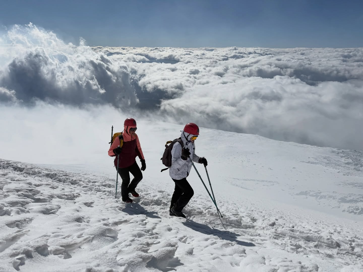#Etna Winter Trek High • La bellezza dei -14º ❄️ 🌋 #sicily #volcanoes #sicilia #guidevulcanologichesicilia
👉Info/Prenota
🌍 https://www.etnative.com/etna-winter-trek
☎️ +393780861560
Ⓜ️ etnativo@yahoo.it