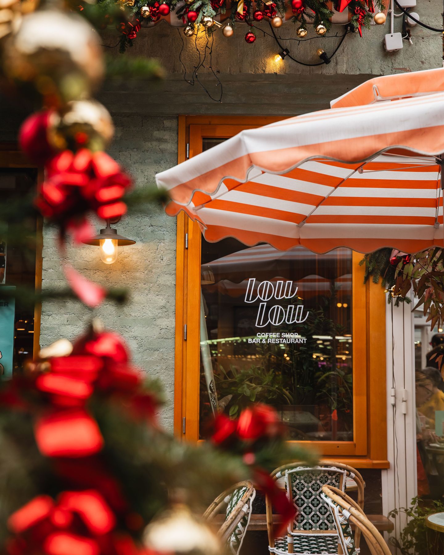 La magie de Noël est enfin arrivée chez Loulou... 🎄✨
📸 @alicepages