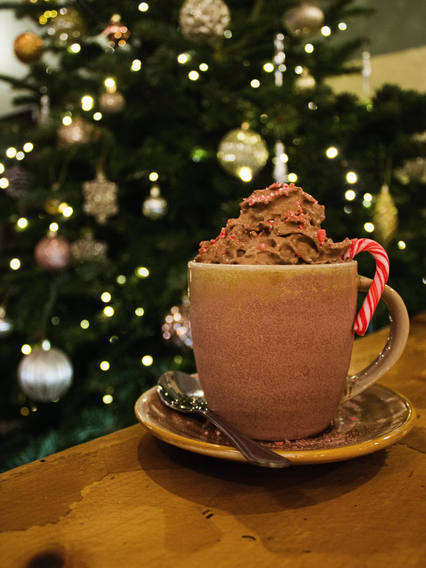 Come in from the cold - there’s a candy cane mocha waiting for you. ☕️🎄
Our festive hot drink specials are a must try! Keep an eye out for more soon 👀