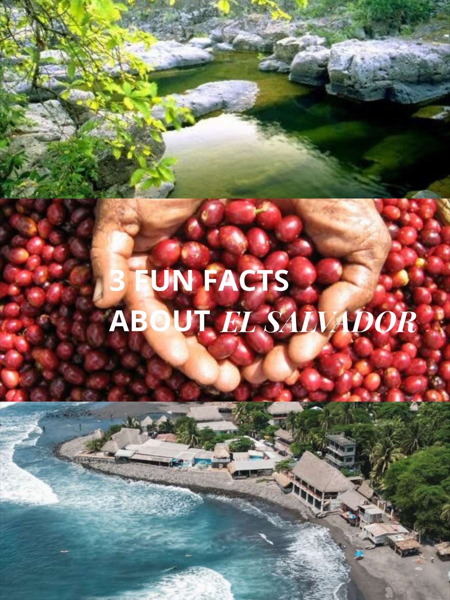 Discover three fun facts about El Salvador that make this small country stand out: from Pacific-only coastlines to volcanic coffee farms and the colorful Sapo River. A destination full of nature, culture, and surprises, perfect for travel planners looking for something unique in Central America.
🌋🌿🌊
Curious to learn more about our ground-tested routes and programs? Visit us at unik.tours.
-
-
-
Découvrez trois faits amusants sur le Salvador : une côte entièrement pacifique, des cafés volcaniques et la rivière Sapo aux couleurs vibrantes. Un pays riche en nature, en culture et en expériences uniques, idéal pour les créateurs de voyages en Amérique centrale.
🌋🌿🌊
Envie d’en savoir plus sur nos itinéraires testés sur le terrain ? Visitez unik.tours.