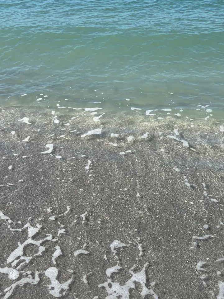 Nothing says take me away to Captiva Island, FL more than this cold, raw, wintery day here in New England!❄️
The Sea and Soul: A Goddess Gathering Retreat
May 28-June 1, 2026 🌊🏝️☀️
Step onto the soft sands of Captiva Island for a weekend of sisterhood, renewal, and a space created just for you.
Be surrounded by an intimate tribe of women, also all looking to rediscover themselves in this season of life.
Included:
4-night stay at a private venue home overlooking the bay. Private accommodations available.
Private access to pristine Captiva beach.
Island inspired, locally sourced meals lovingly prepared by Chef Mike Elias.
Holistic modalities to nurture your mind, body and soul including sound healing, mindfulness, energy work, and other gentle practices to calm our inner tides.
Pre and post retreat 1:1 coaching sessions to augment your retreat experience.
An extra day included for you to explore Captiva Island! Perhaps it’s shelling the beaches, shopping in the quaint downtown village area of Captiva or visiting the iconic Bubble Room for a lunch or dinner.
The choice is yours to indulge!
A deposit is all that’s needed to hold your place.
Limited spots available!
For more information or to connect to see if this is the retreat experience you’ve been waiting for reach out:
www.coachingbyro.com
Link in bio!
#womensretreat #intimateretreat #oceanrherapy #disconnecttoreconnect #sisterhood #soundhealing #sisterhoodispowerful #captiva #beachsunset #shelling #seashells #seashells🐚 #seashellsbytheseashore #mindfulness #energywork