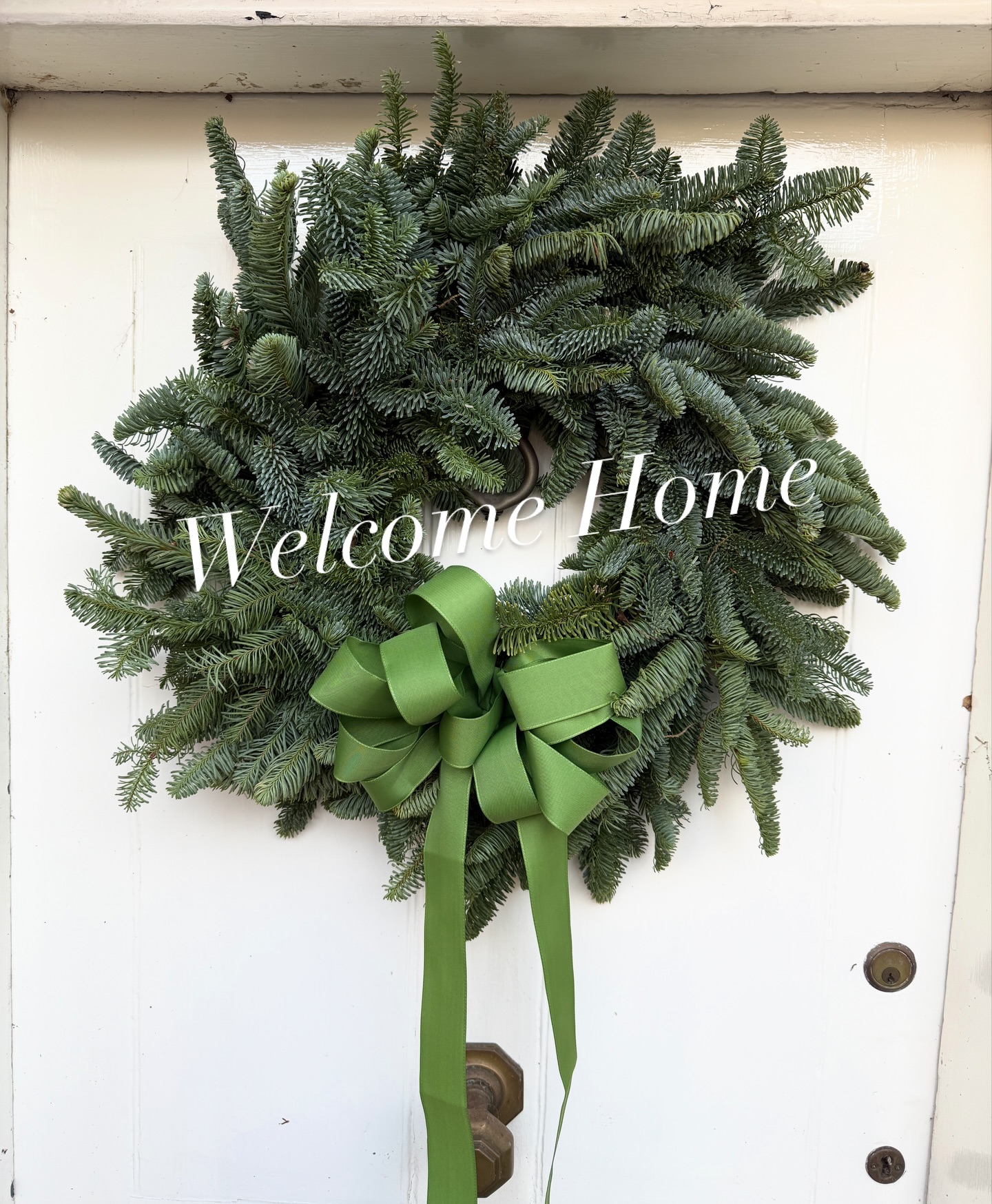 Go green and simple with your door this year.
#holidaydoordecor #blomsterdesignsflowers #happyholidays #doorwreaths