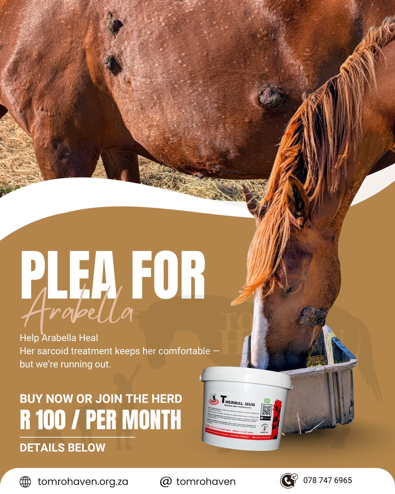 Many of you saw Arabella’s story in our reel on Monday… and today we’re asking for your help ❤️🐴
Our brave warrior mom continues her fight against her sarcoids.
The thermal mud treatment is making a real difference — several sarcoids have already reduced in size or even fallen off.
But this is an ongoing and costly journey, and we urgently need support to keep Arabella comfortable and healing.
✨ If you’re able, please donate towards her thermal mud and sarcoid care. Every contribution truly helps.
You can purchase the treatment directly here:
https://www.vermate.co.za/product/tm2-5l/
Or join our monthly Herd Donation programme on our website:
www.tomrohaven.org.za
Thank you for standing with Arabella as she continues her healing journey. 💛🐴