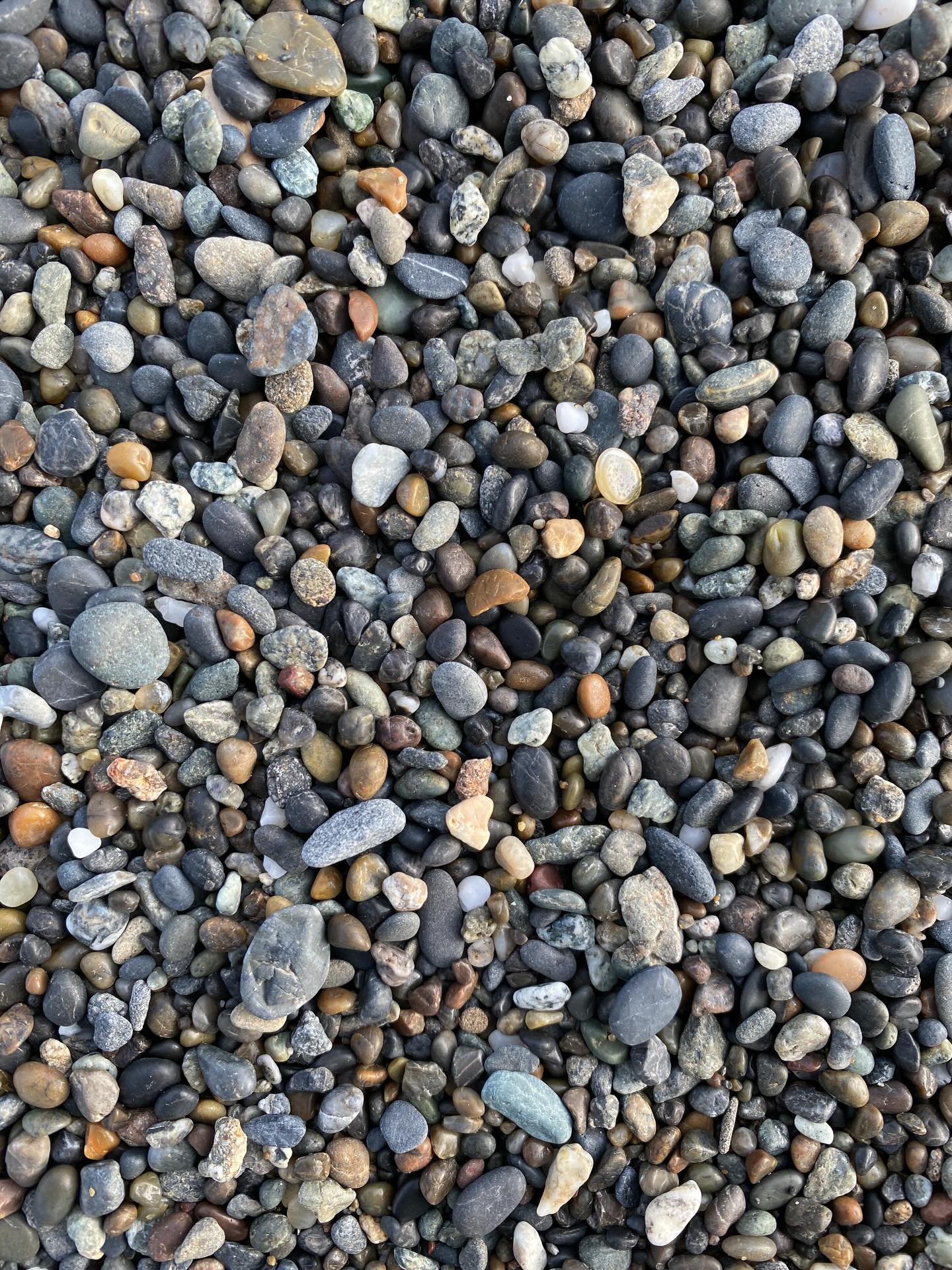 More road trip photos #sliceofheavenfarm