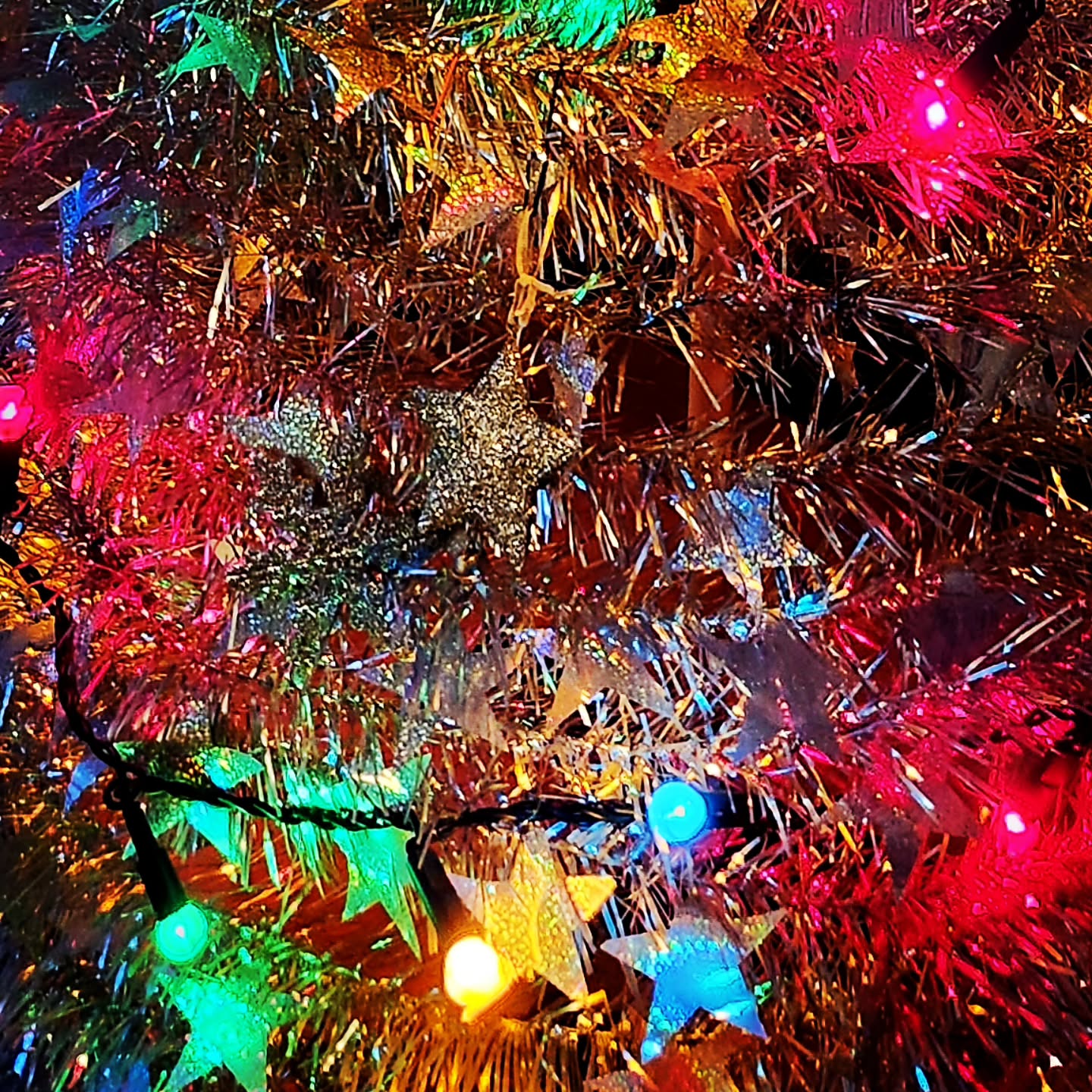 Festive sparkle is up!
Only til Boxing Day then it all goes back in the loft as we're back off to NZ to see the family over there 😊
#bling
#sparkle
#festive