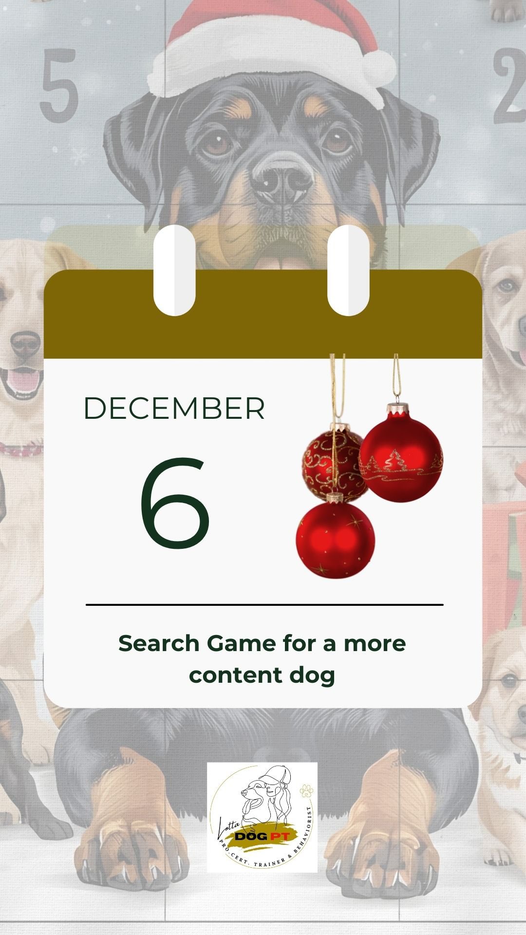 🎄 DAY 6 – Indoor Search Game
Today I’m sharing a simple, fun and very effective indoor game that activates both your dog’s nose and brain, perfect for days when long outdoor sessions aren’t possible.
This game:
• tires your dog mentally in the right way
• builds confidence
• increases focus and stamina
• suits both puppies and adult dogs
✨ What you need (from home)
Use non-transparent containers that allow scent to pass through, for example:
• toilet paper rolls
• egg cartons
• small cardboard boxes
• pizza boxes
• wooden boxes
• plastic containers with holes
• flower pots with holes in the bottom
Important: Containers must be safe and not airtight.
Dense mugs or airtight containers should only be used later, once the dog understands the task.
✨ How to play- in short
Start with 2 containers and let your dog see where the treats are placed.
Repeat a few times.
Then add one empty container and vary where the treats are hidden.
Next step:
Your dog does not see where the treats are hidden.
Use 5–8 containers and place treats under about half of them.
When the game flows well, you can:
• add more containers
• use fewer treats
• increase the distance
This is real mental training and at the same time great fun for your dog.
🌟 Simple games, done right, create big results.
#dogtraining
#scentwork
#dogenrichment
#indoordogtraining
#dogactivity
#rottweilerlife
#lottadogpt