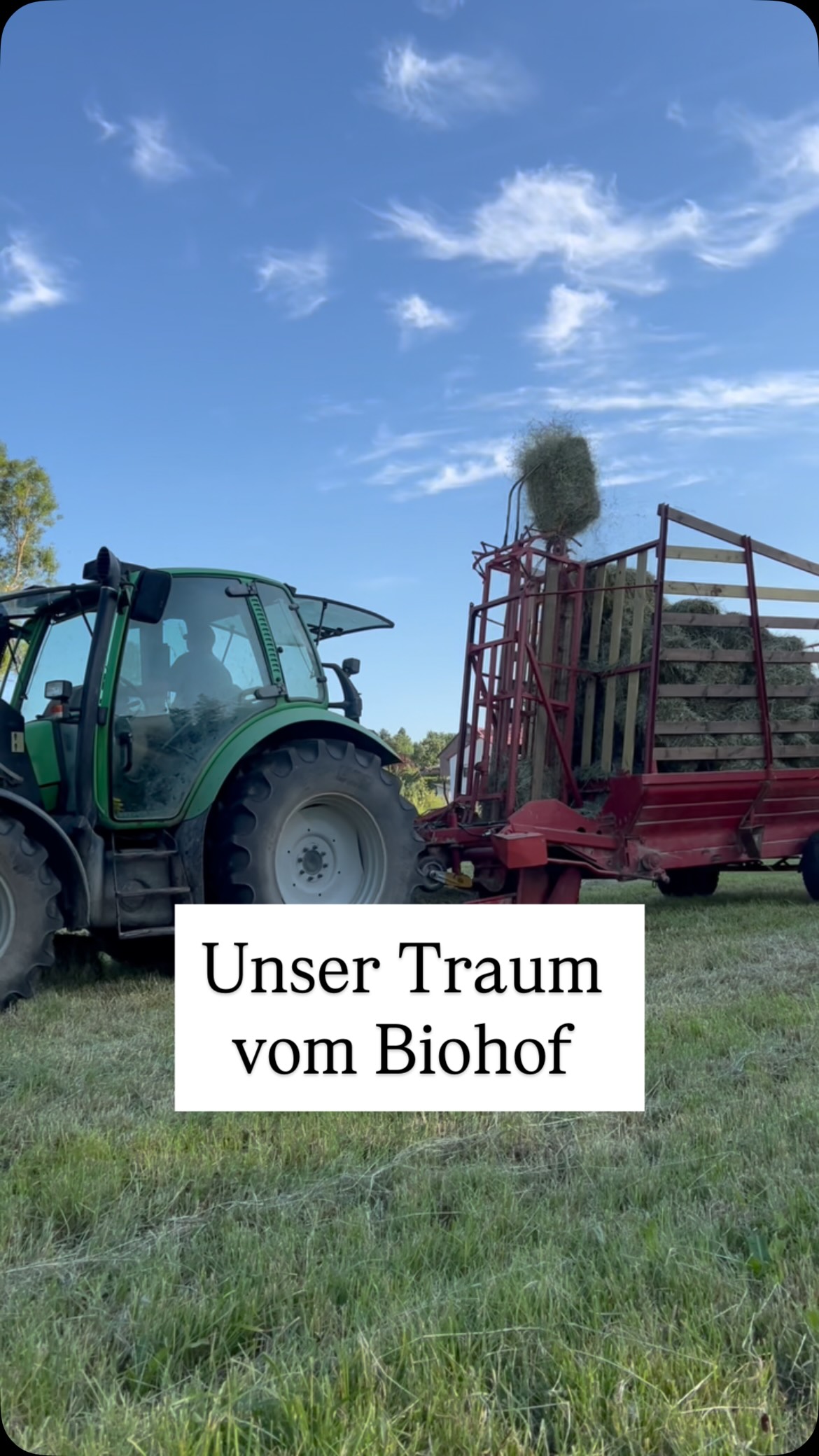Endlich nicht mehr allein. 👨🏼🌾❤️👩🏼🌾
Bisher haben wir zwei völlig getrennte Betrieb geführt - eine ganze Weile voneinander entfernt.
Während Lucas den Grünlandbetrieb mit all den Tieren bewirtschaftet, habe ich in der Hauptsache das Gemüse gepflanzt,gepflegt und geerntet.
Wir haben uns unterstützt, wo es nur ging, aber es war doch irgendwie allein und auch irgendwie komplett gemeinsam.
#biolandwirtschaft #biohof #biogemüse #bioeier #biofleisch