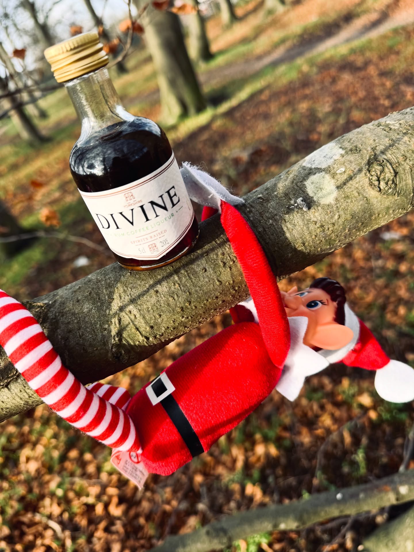 ๐งโโ๏ธ Even as an elf, you love nothing more than hanging out with your matesโฆ
โฆbut after a long day in the cold, thereโs only ๐๐๐ thing that can thaw those frosty toes:
๐ฅ๐๐ฎ๐ฆ ๐๐จ๐๐๐๐ ๐๐ข๐ช๐ฎ๐๐ฎ๐ซ๐ฅ
Served hot. Served cold. Served any way you like โ because itโs pure magic in a cup. โ๏ธโจ
๐๐ฎ๐ญ ๐๐๐ข๐ซ ๐ฐ๐๐ซ๐ง๐ข๐ง๐ :
When your pal asks for a sipโฆ
โ ๐๐จ๐ฉ๐. ๐๐จ๐ญ ๐ญ๐จ๐๐๐ฒ.
Sharing is ๐ง๐จ๐ญ in your elvish vocabulary this time. (Soz)
Stay warm, stay cosy, and most importantlyโฆ
stay ๐๐ข๐ฏ๐ข๐ง๐ ๐ธ๐ซ
#divine #coffee #bestfriends