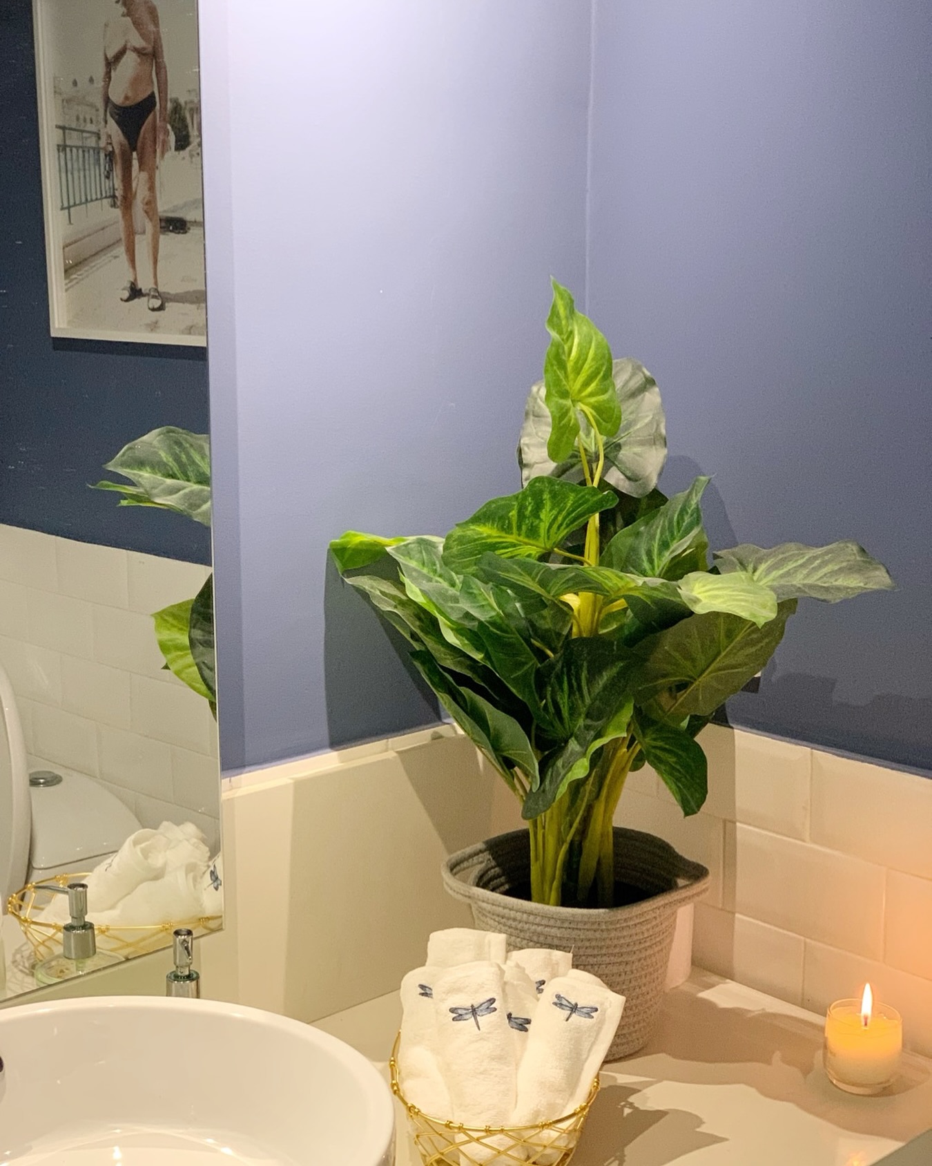 Nuestras toallas faciales, un elemento que no debe faltar en tu baño. Tenemos el diseño perfecto para combinar con tu baño.