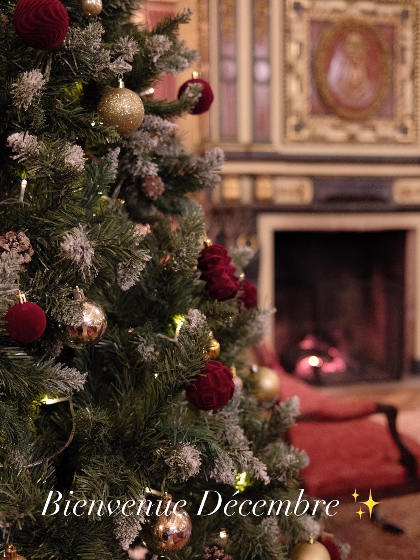 Bienvenue Décembre ❄️✨
Au Château de la Villaumaire, la féerie s’installe doucement…
Les décorations prennent place, les lustres scintillent, le feu crépite, et chaque pièce se prépare pour accueillir la magie de Noël.
Un mois où tout devient un peu plus lumineux, un peu plus doux… un peu plus enchanté. ✨
🎄✨ Bienvenue dans l’hiver au château.
#DécembreAuChâteau #NoëlAuChâteau #ChâteauDeLaVillaumaire
#VieDeChâteau #AmbianceNoël #MagieDeDécembre
#ChâteauEnHiver #ChristmasVibes #PatrimoineFrançais
#Touraine #IndreEtLoire #ChâteauLife #EspritDeNoël