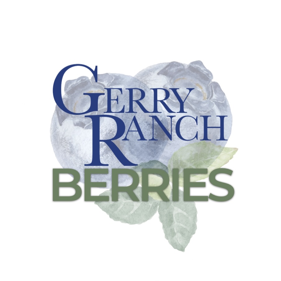 Welcome to Gerry Ranch Blueberry U-Pick! 🌿💙
We’re a family-owned blueberry farm in Camarillo, Ventura County, offering seasonal U-Pick blueberry picking with beautiful mountain views and fresh, hand-grown berries.
If you’re searching for things to do in Ventura County, family activities in Camarillo, or blueberry picking near Los Angeles, you’re in the right place.
Follow us for:
• U-Pick opening days
• Field + ripeness updates
• Pricing & hours
• Tips for the best blueberry picking
• Recipes, farm moments, and more
Blueberry season begins soon—stay tuned! 🫐🌞
📍 Gerry Ranch – Camarillo, CA
#GerryRanchBerries
#camarillo #venturacounty