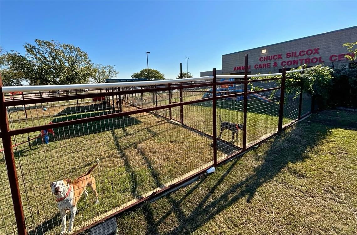 We were so glad when the Rombauer family reached out to us wanting to provide a large gift to Fort Worth Animal Care & Control. It’s moments like this that remind us why we do what we do. We were happy to jump in, coordinate with our incredible FWACC staff, and help identify the project where their generosity could make the biggest impact. Donors like the Rombauers help us stay true to our mission of supporting Fort Worth Animal Care & Control—and they make a real, tangible difference for the animals who rely on all of us.
Thanks to a generous $72,000 gift from longtime supporter Ransome Hughes Rombauer and the Double R Family Foundation, dogs at the Silcox Animal Shelter now have more space to run, play, and soak up that Cowtown sunshine. Read more about the gift here: https://bit.ly/3KFgpKu (link in BIO 🔗)