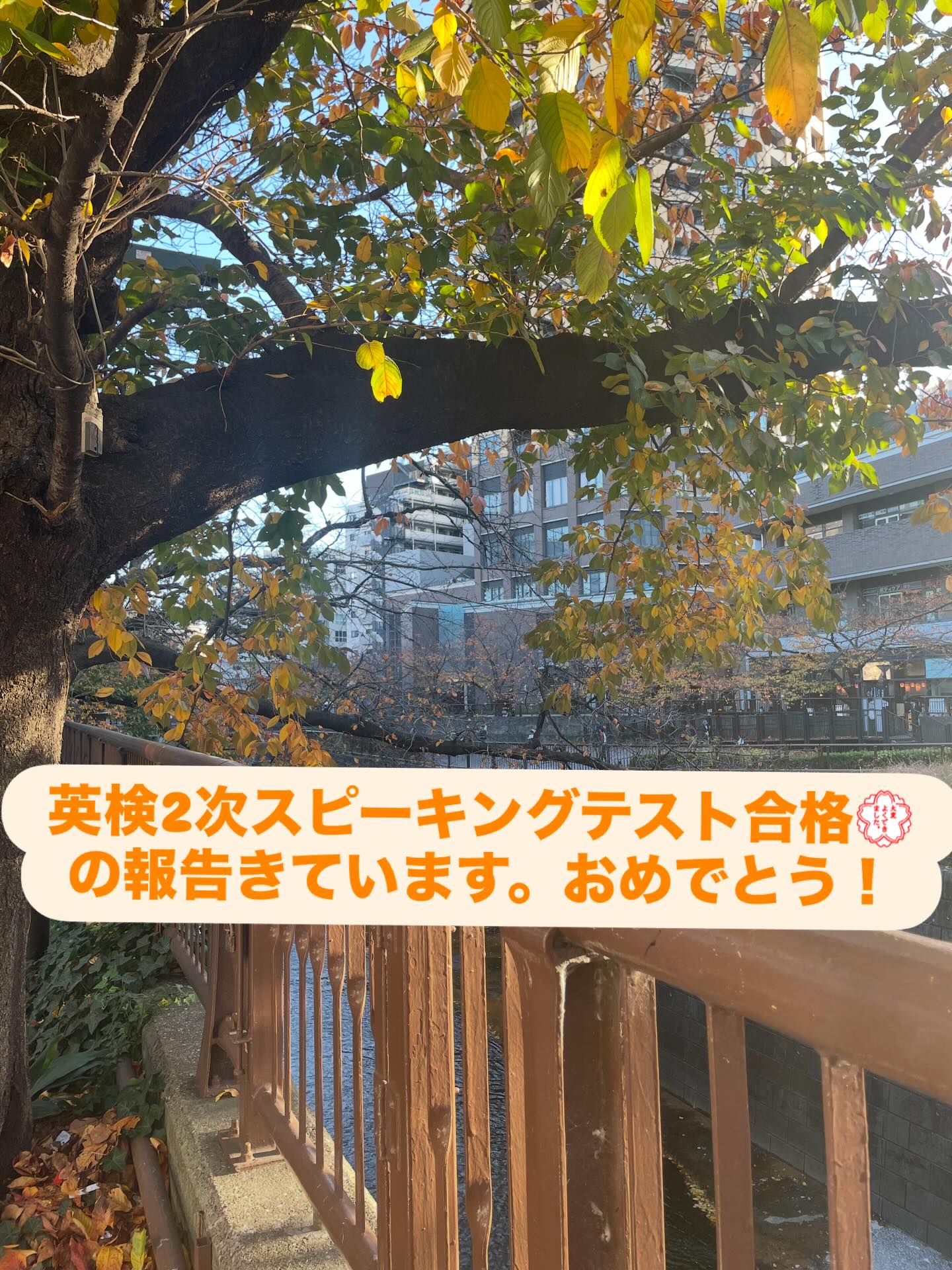 さすがチェルの生徒さん!スピーキングが得意です。でもしっかり対策を練習しました。合格おめでとうございます🈴
中学2年生 英検2級合格しました💮
中学3年生 英検準2級合格しました💮
中学1年生 英検3級合格しました💮
#小学生クラス募集
#調布 #仙川 #千歳烏山 #狛江 #つつじが丘
#中学生 #高校生 #小学生#大人
#英語 #英会話 #英会話レッスン
#高校受験 #中学英語
#英文法 #英会話勉強法
#英検 #Esat-J
#やり直し英語 #オンライン英会話
#日常英会話 #ビジネス英語
#えいご