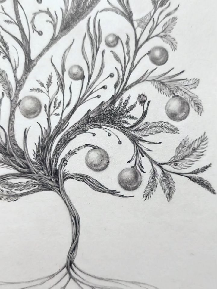 When all seemed lost and the land became sealed by cold and shadow, an evergreen endured and even dared to grow. Not by force, but by hope. Its roots drinking memories of the dawn from a space where life was meant to forget and give up. It's living lush green leaves a reminder that the tiniest seed carries instinctive knowledge of how to flourish when buried in darkness.
From its boughs bloomed golden spheres of joy, small suns born of perseverance and determination, promising warmth to all who dared to hold on through the fierce cold air. Having witnessed the tree's defiance, the soil itself rejoiced, bestowing upon it its wisest spider whose luminous web became an emblem of unseen strength, patience and purpose.
The night sky was so inspired, it gifted the tree a crown of light, a single star, bearing witness that light is not the absence of darkness, but the reason it never wins.
TREE OF HOPE. Inspired by people all over the world enduring unimaginable darkness. And those choosing to shed light despite the consequences.
Graphite pencil on textured paper. Drawn from my imagination 💖🕊️🕸️
#humanityfirst #globalcommunity #hopeendures #inspiredbynature