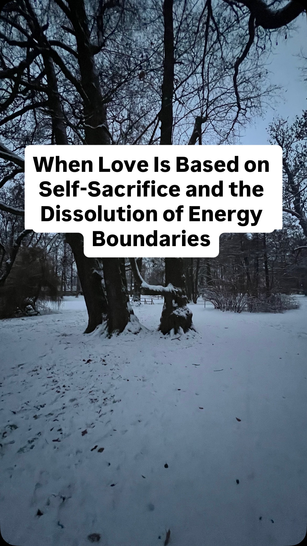 If you were called rushing into the commitment, you might be the giving pole in that relationship.
We cannot give to someone with whom we don’t acknowledge a true energetic connection.
But become aware of the degree of reciprocity — if the other person is merely taking and mirroring your effort just not to lose your giving.
My client became aware of this very soon, after a few months.
But still, the damage was done.
The experience was painful — especially because it didn’t just break her heart, it ripped her soul open.
It was a soul contract.
A spiritual awakening.
A becoming aware of the energetic programming — based in disconnection from self, in wounds, in compensation for feeling unsafe in childhood.
In disconnection from one’s own worthiness.
This is not a mindset — it’s an energy stream in the body.
And to learn it is much harder than to repeat affirmations.
Affirmations can cause more harm than good if deep energetic distortions are running your identity.
Has something resonated with you? Let me know.
S..tstormers: I’m not responsible for appeasing and soothing your triggers. Don’t even bother.
#EnergeticBoundaries #SoulAwakening #SelfWorthHealing #ConsciousRelationships