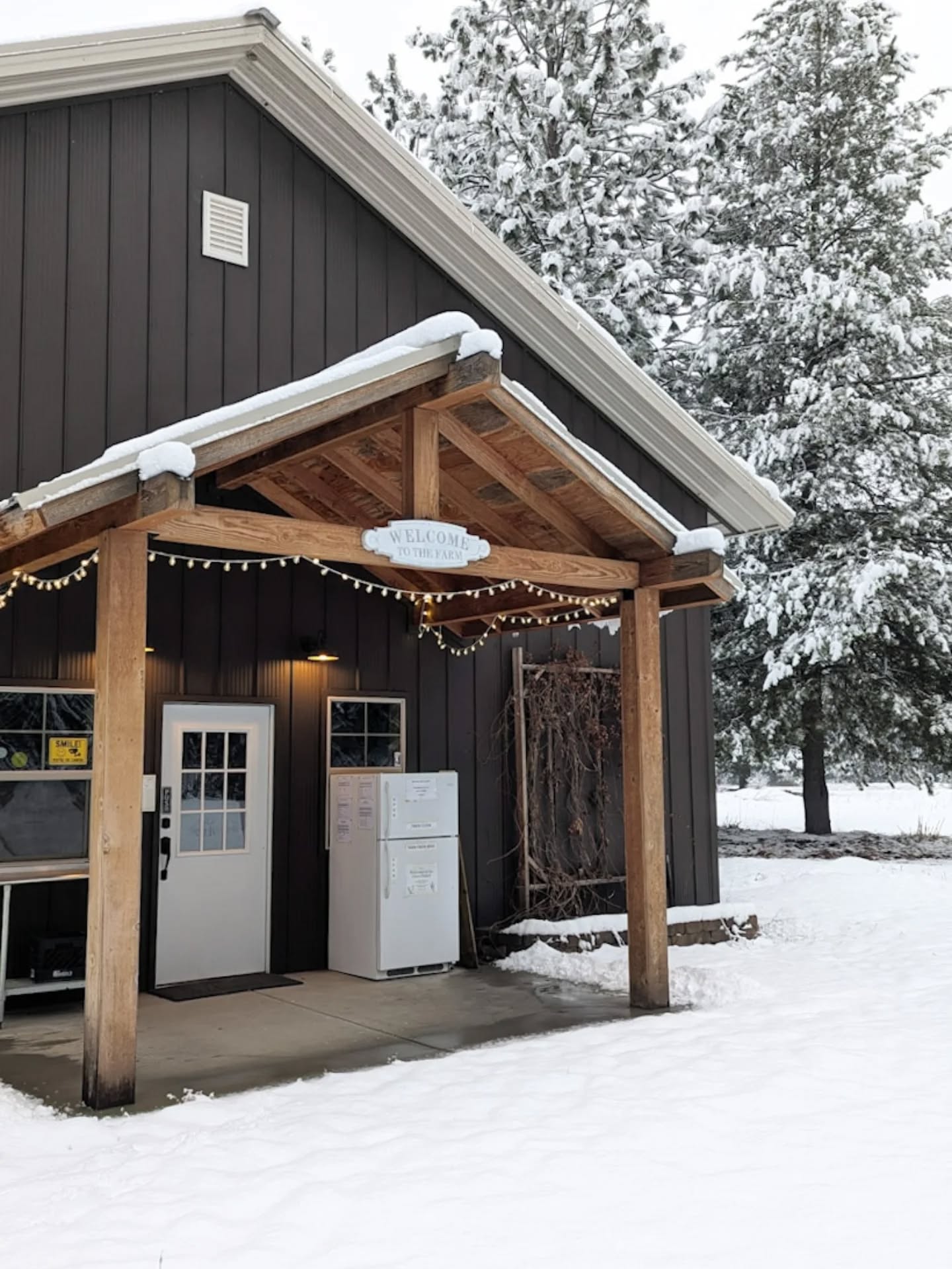š Only 3 weeks left! ComeĀ stock up before we close for the winter.Ā Our last open day is December 20.
This week at the Self-Serve Farm Stand:
š„ Farm Fresh Eggs ā 1 dozen available ā $6
š¾ Elwha River Spelt Flour ā $15 for 10 lbs
š¾ Red Fife Whole Wheat Flour ā $10 for 10 lbs
š¾ Louise Soft White Whole Wheat Flour ā $10 for 10 lbs *Great for pastries and cookies*
All grain is grown locally and stone-milled fresh on the farm.
š°ļø Hours
Friday 12 PM to 6 PM
Saturday 9 AM to 6 PM
šµ Cash, check, or Venmo accepted
š Self-Serve Farm Stand
25415 N Ramsey Rd,Ā Athol, ID 83801
Thank you for supporting us through the season. Only three more weekends to grab flour and eggs before winter!
#FarmFresh #LocalGrain #StoneMilled #ElwhaRiverSpelt #RedFife #LouiseSoftWhite #FarmEggs #SelfServeStand #SupportLocal #LastWeeksOfTheSeason