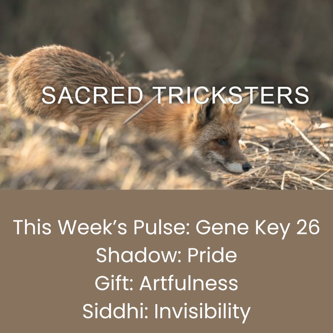 This Week’s Pulse: Gene Key 26 - The Trickster
Shadow: Pride | Gift: Artfulness | Siddhi: Invisibility
This week, the collective energy invites us into a gentle dance between effort and ease… between who we think we need to be and the quiet truth of who we already are.
Gene Key 26 shines a spotlight on Pride—the impulse to prove, perform, or perfect our place in the world. Pride so often arises as protection… a way to make sure we’re seen, valued, and safe.
But under that defense lies something softer: We don’t need to be seen to make an impact.
As the Pulse moves through the field, the Gift of Artfulness comes alive. This is the magic that emerges when we act from clarity, not ego—when our creativity flows naturally without force or self-promotion. It’s the beauty of doing less, but meaning more.
At its highest frequency, Gene Key 26 reveals the Siddhi of Invisibility—a state of subtle influence and quiet power. We shape the world by being aligned. Our presence does the work.
This week, reflect on:
Where am I trying to prove something?
What softens when I trust my natural gifts?
How can I move with quiet impact rather than striving?
Let this Pulse guide you into easeful offering, gentle influence, and the artfulness that arises from simply being who you are.
https://genekeys.com/pulse/26-invisibility-2025/