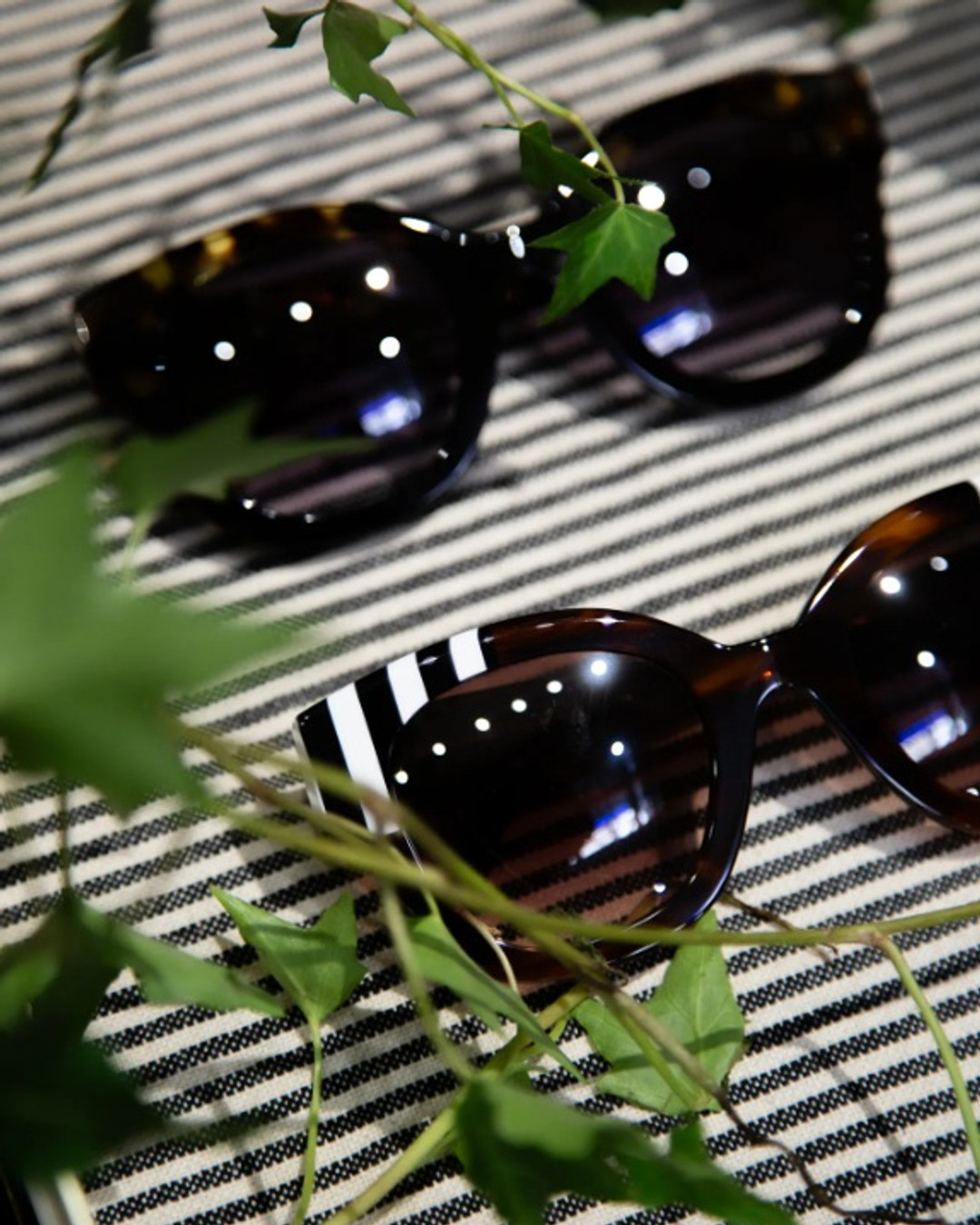 Découvrez l'histoire fascinante de la Maison Lafont, une saga familiale qui perdure depuis 1923 ! Des lunettes de qualité à la boutique de la Madeleine, où chaque paire raconte son histoire. ✨👓 #Lafont #Histoire #Lunettes #Paris #Mode #Optique Link in Bio