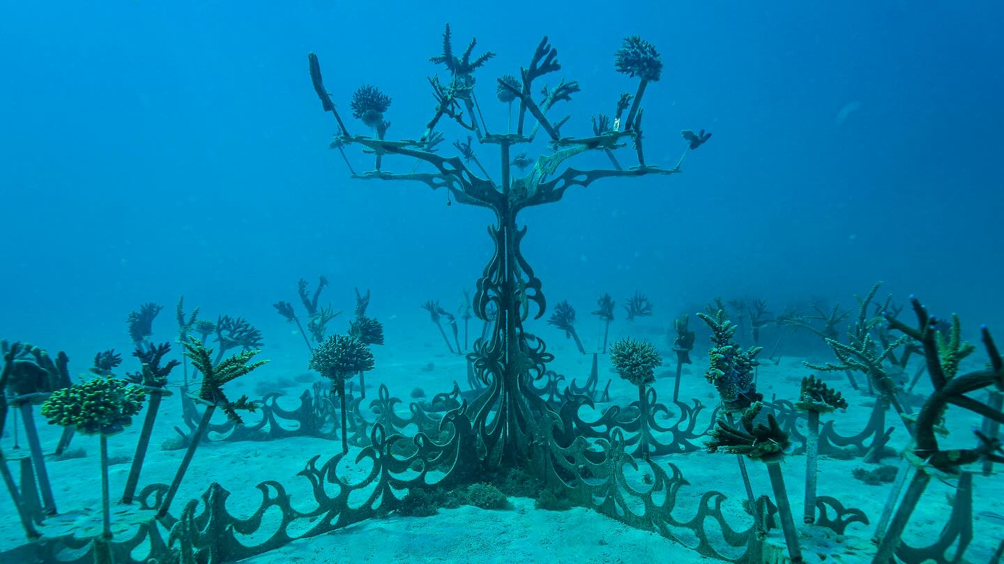 One of six impressive underwater artworks at @castawayislandfiji impressively supporting and serving as the sustainable foundation 75 diverse parent corals. Impressive? Impressive.