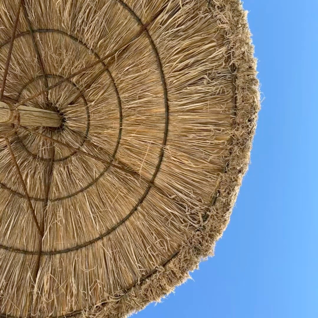 #growthmindset #persönlicheswachstum #neuroplastizität