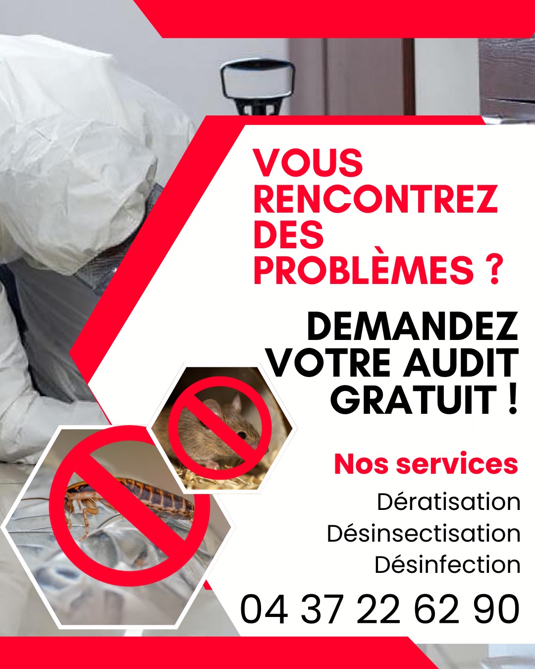 Vous rencontrez un problème de nuisible chez vous ?
N'hésitez pas et commander votre diagnostique gratuit avant toute intervention !
Tel : 04 37 22 62 90
#Dératisation #Nuisible #Désinsectisation #Désinfection #Rat #Solyservices